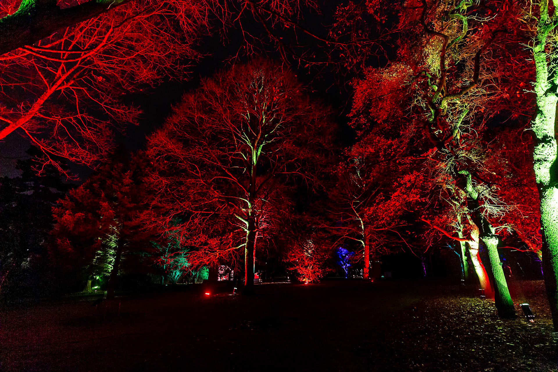 Botanic Lights 2018