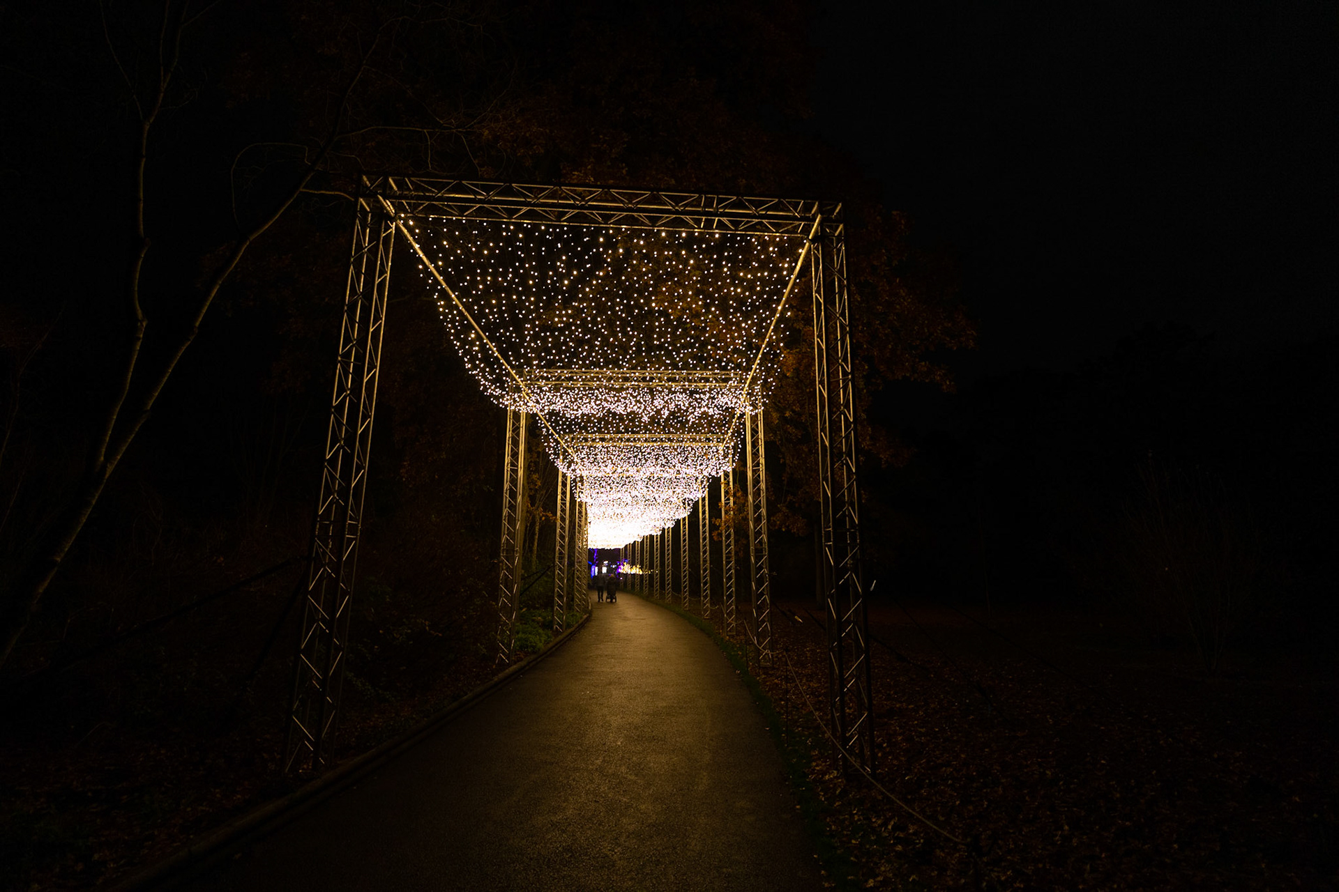 Botanic Lights 2018