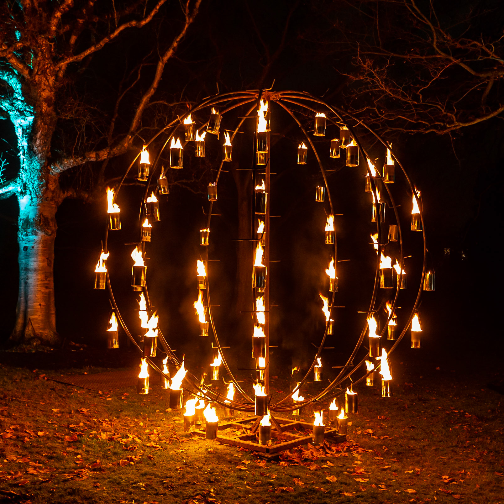 Botanic Lights 2018