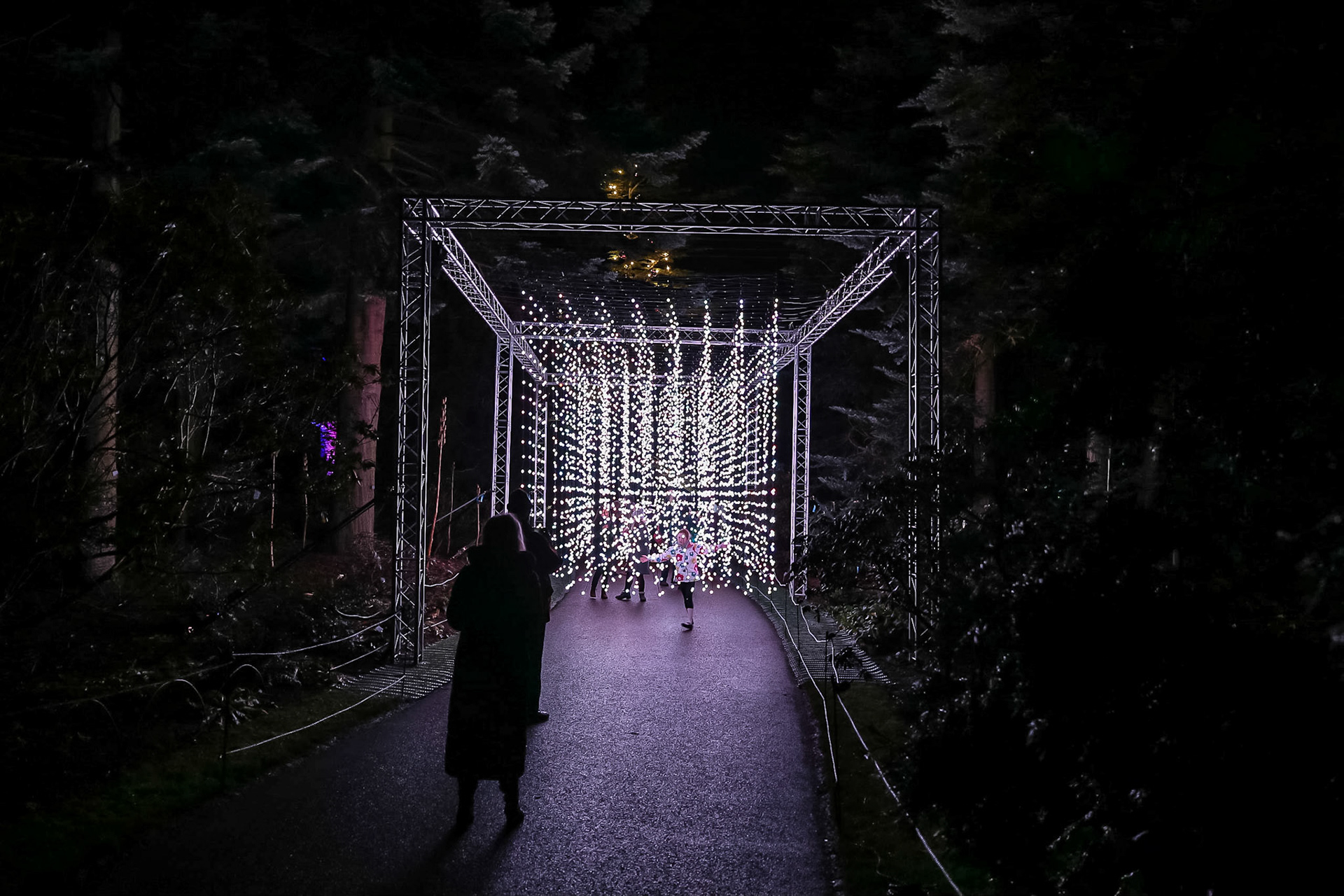 Botanic Lights 2018