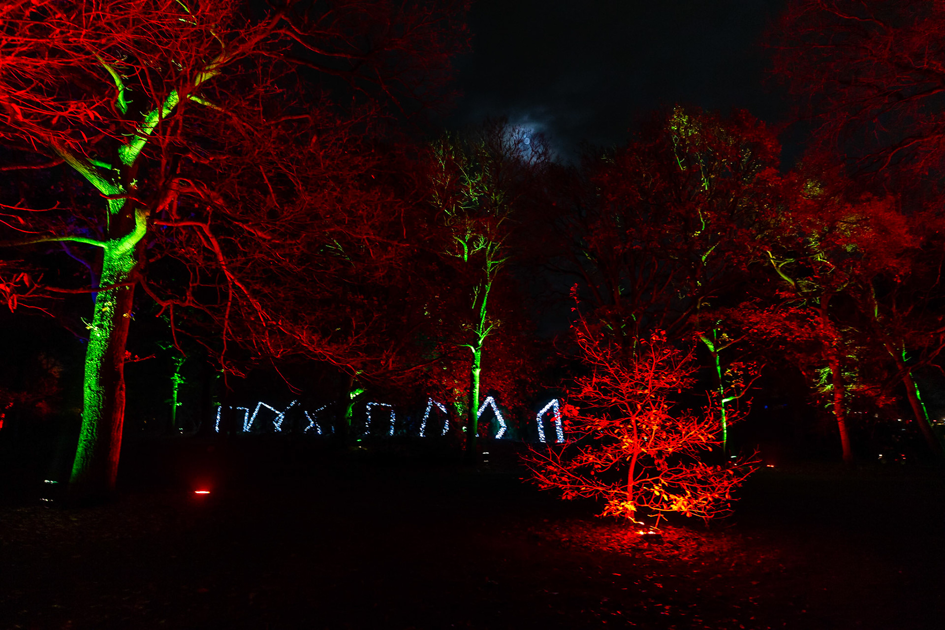 Botanic Lights 2018