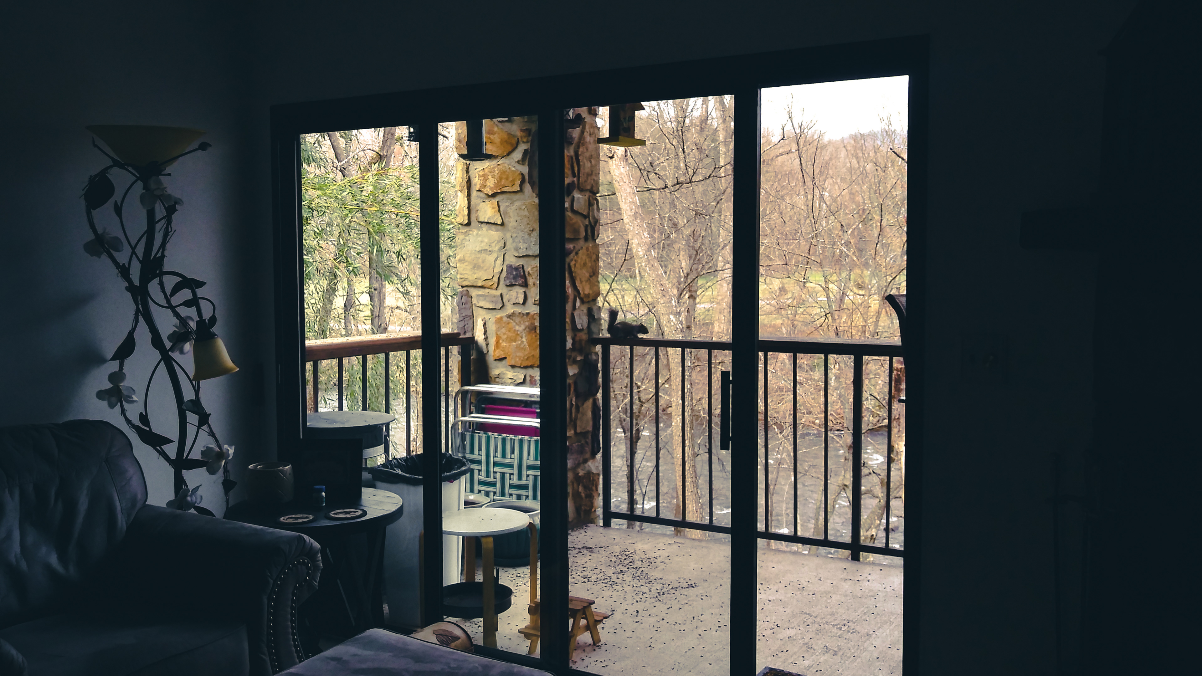 Shorty the Squirrel Meowing on patio rail
