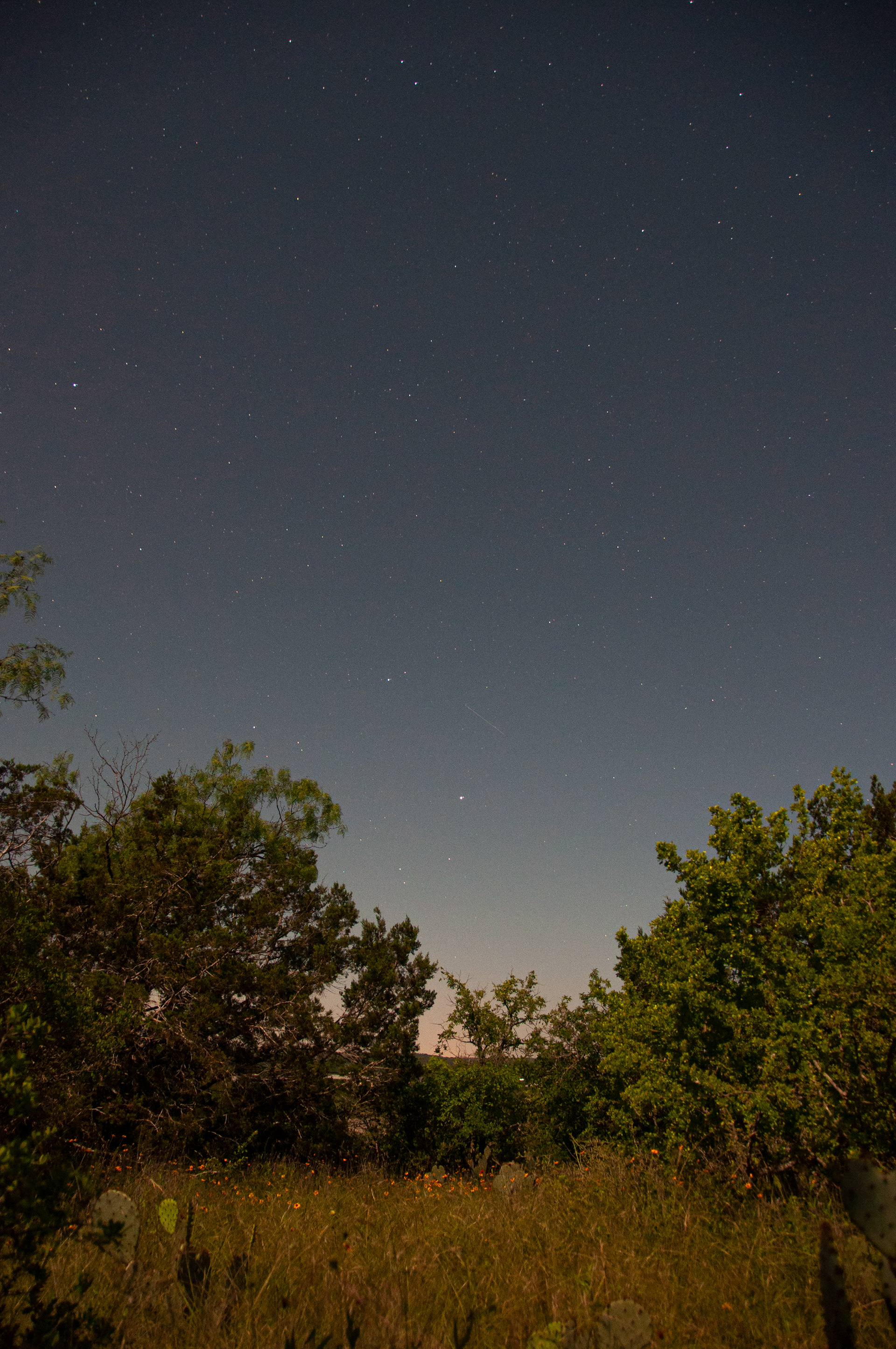 Pedernales [TX] Park Starry Night