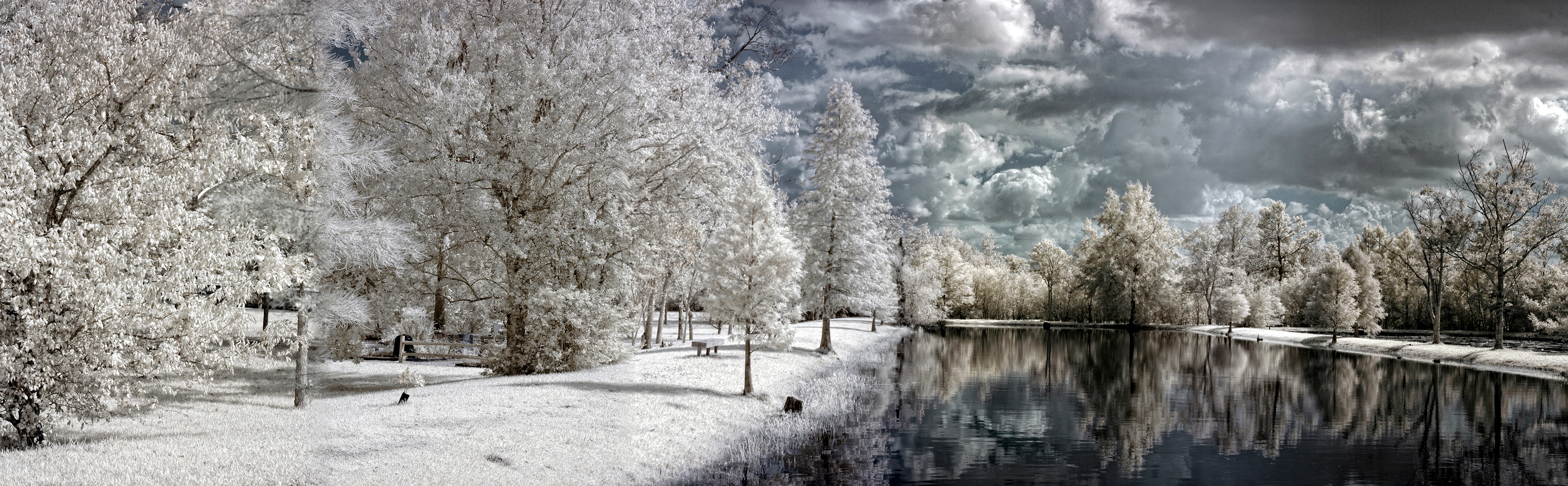 Houston Park Infrared