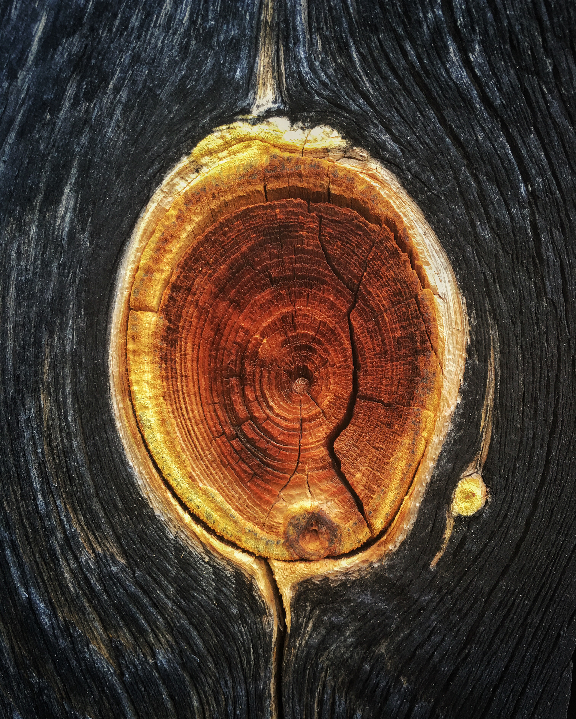 Barn Wood Knot