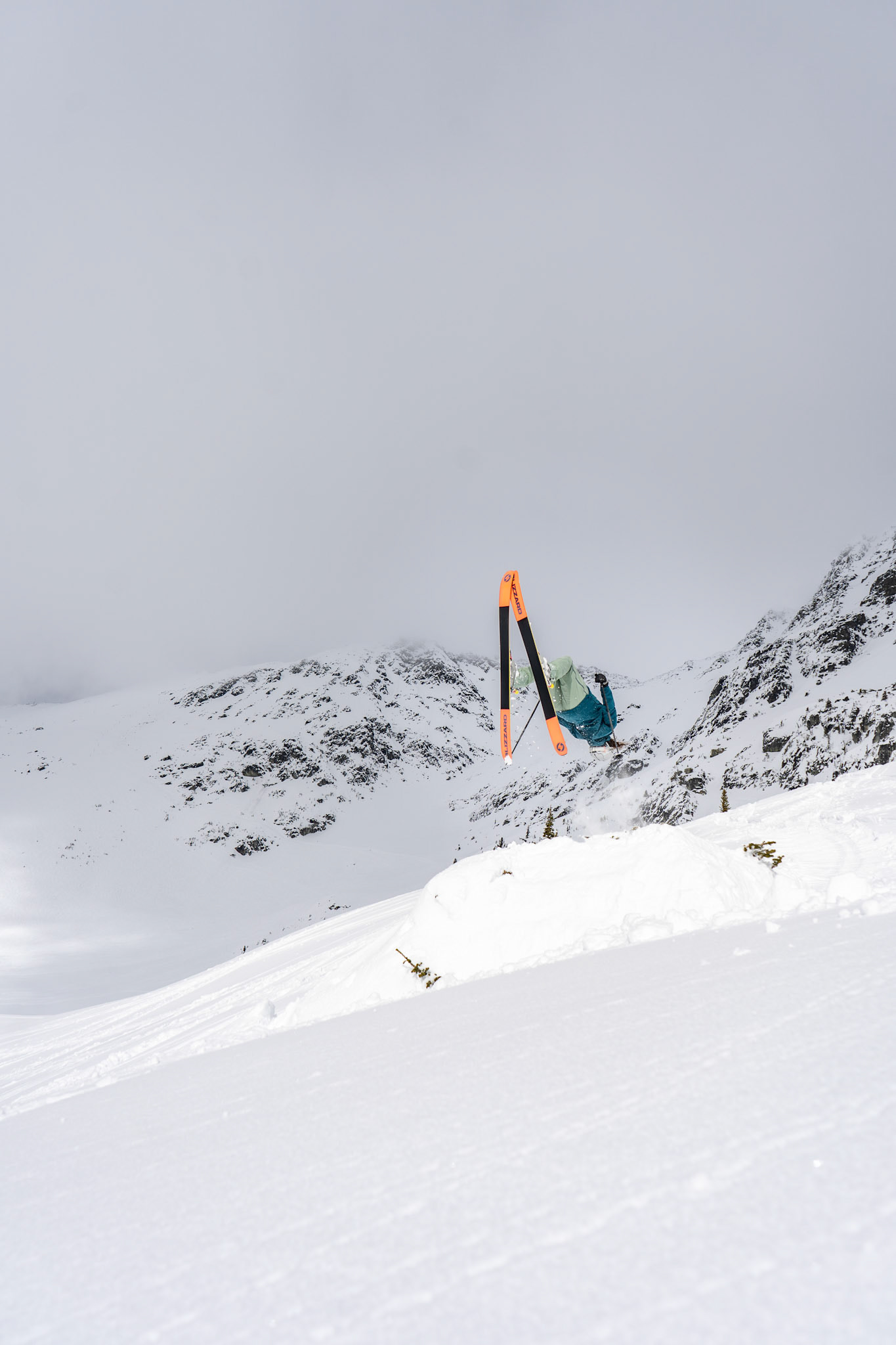 Ashley Stewart Blackcomb