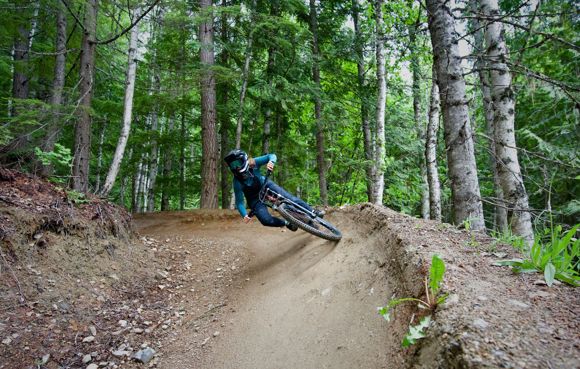 Revelstoke 2020