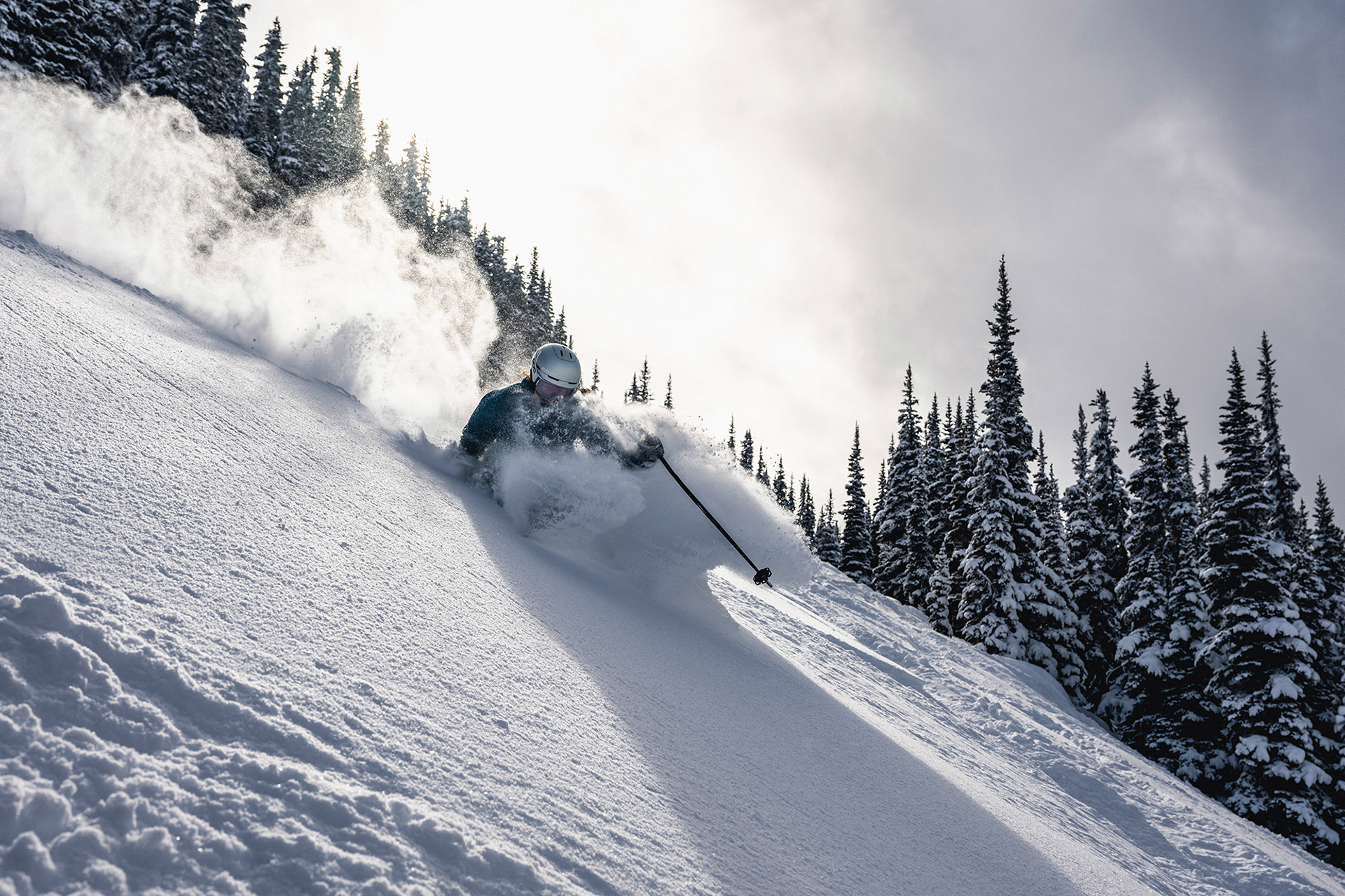 Guy Fattal Blackcomb