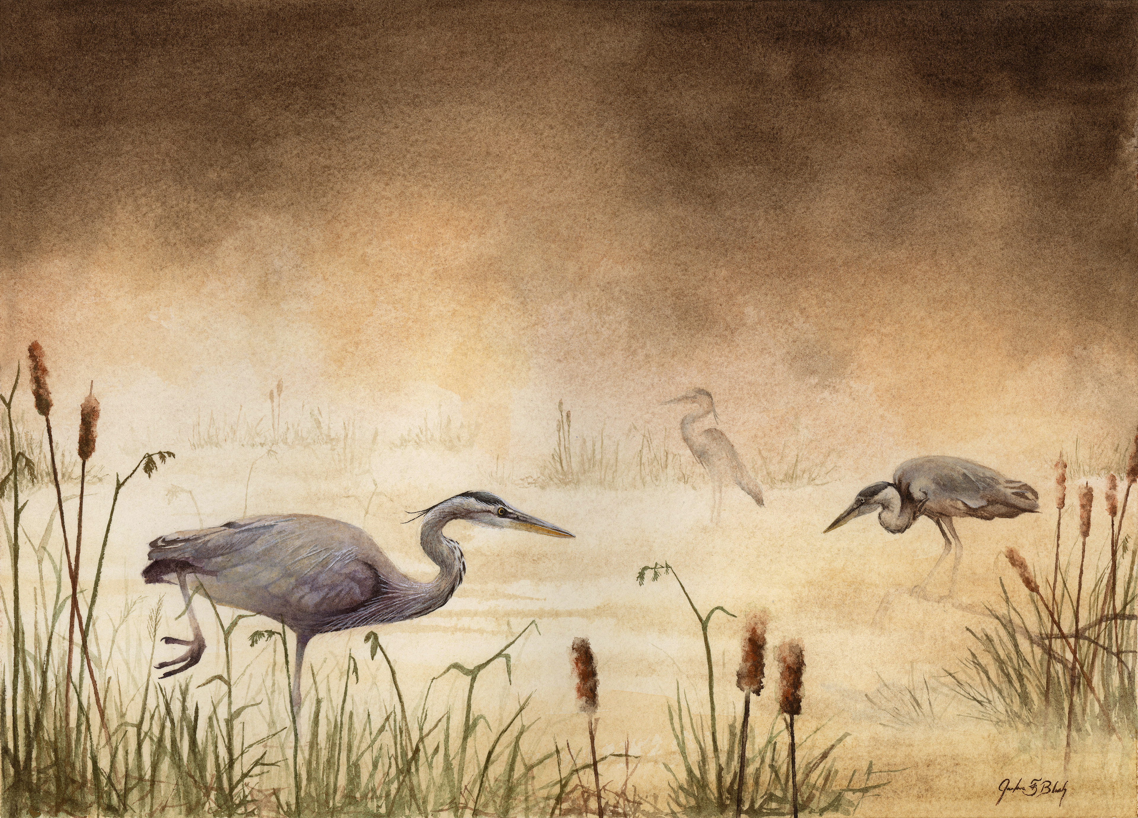 Great Blue Herons - Watercolor, 2018
