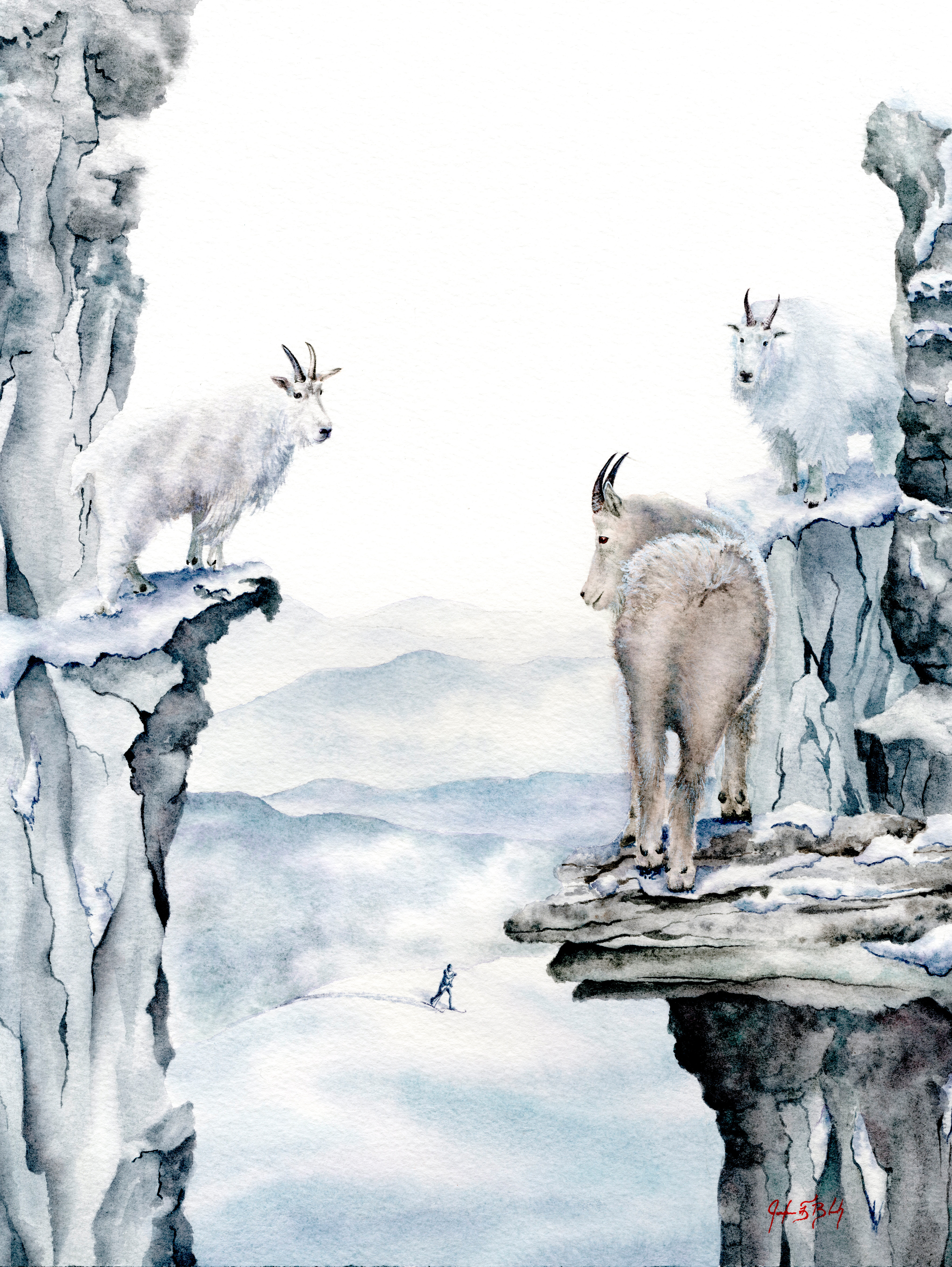 Mountain goats - Watercolor, 2019