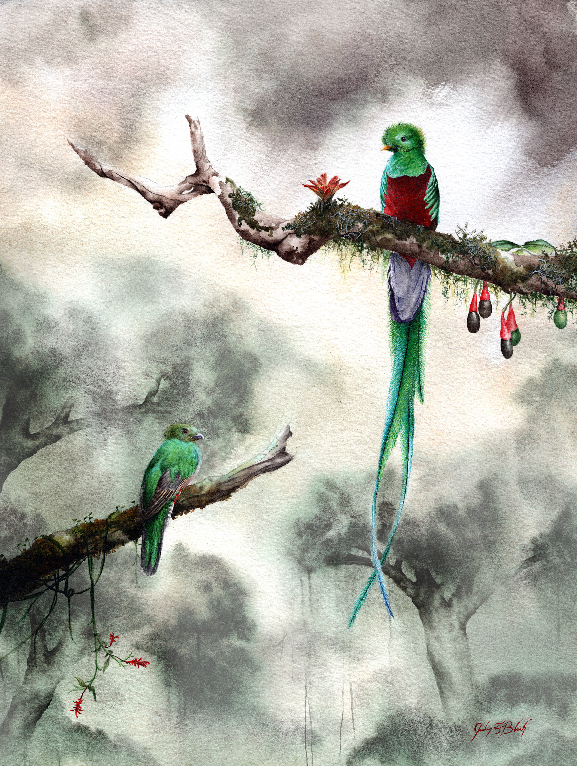 Resplendent Quetzal - Watercolor, 2020