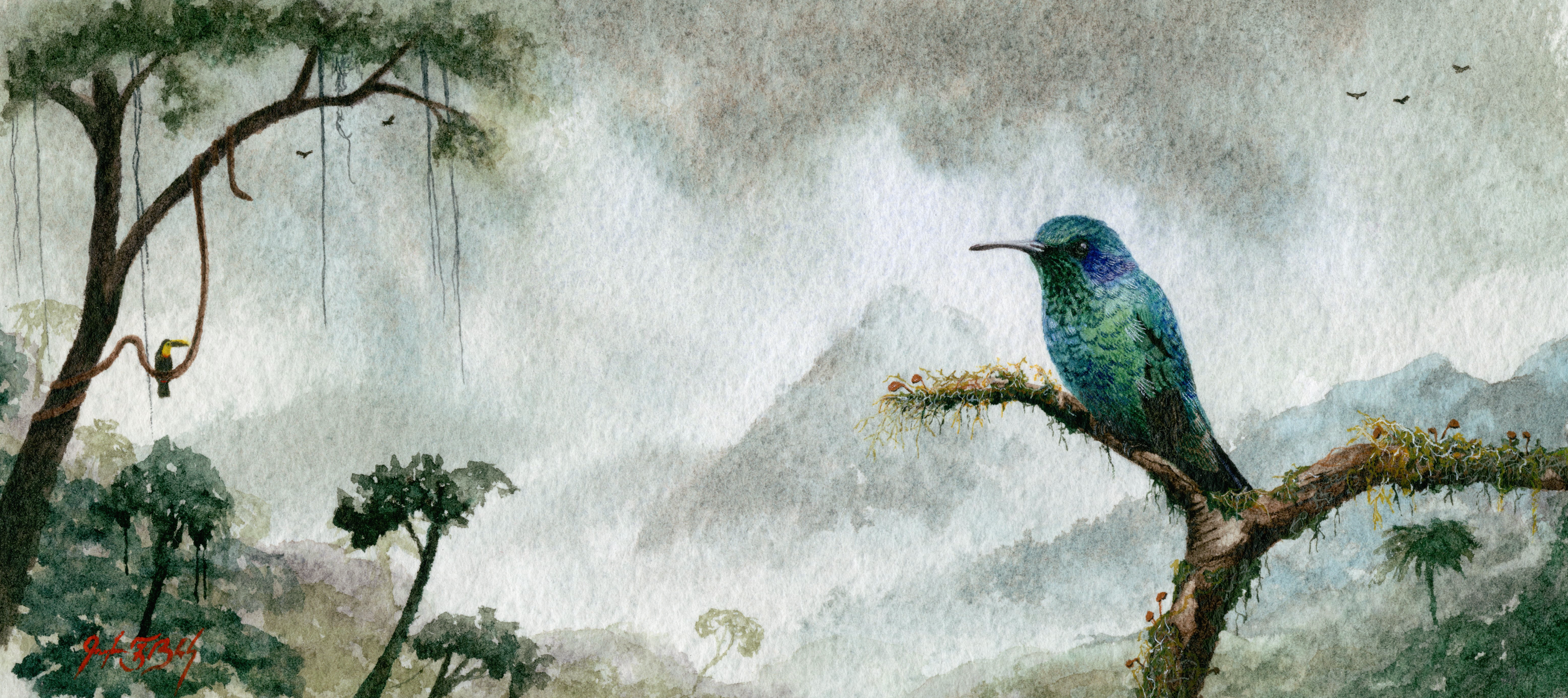 Lesser Violetear - Watercolor, 2018