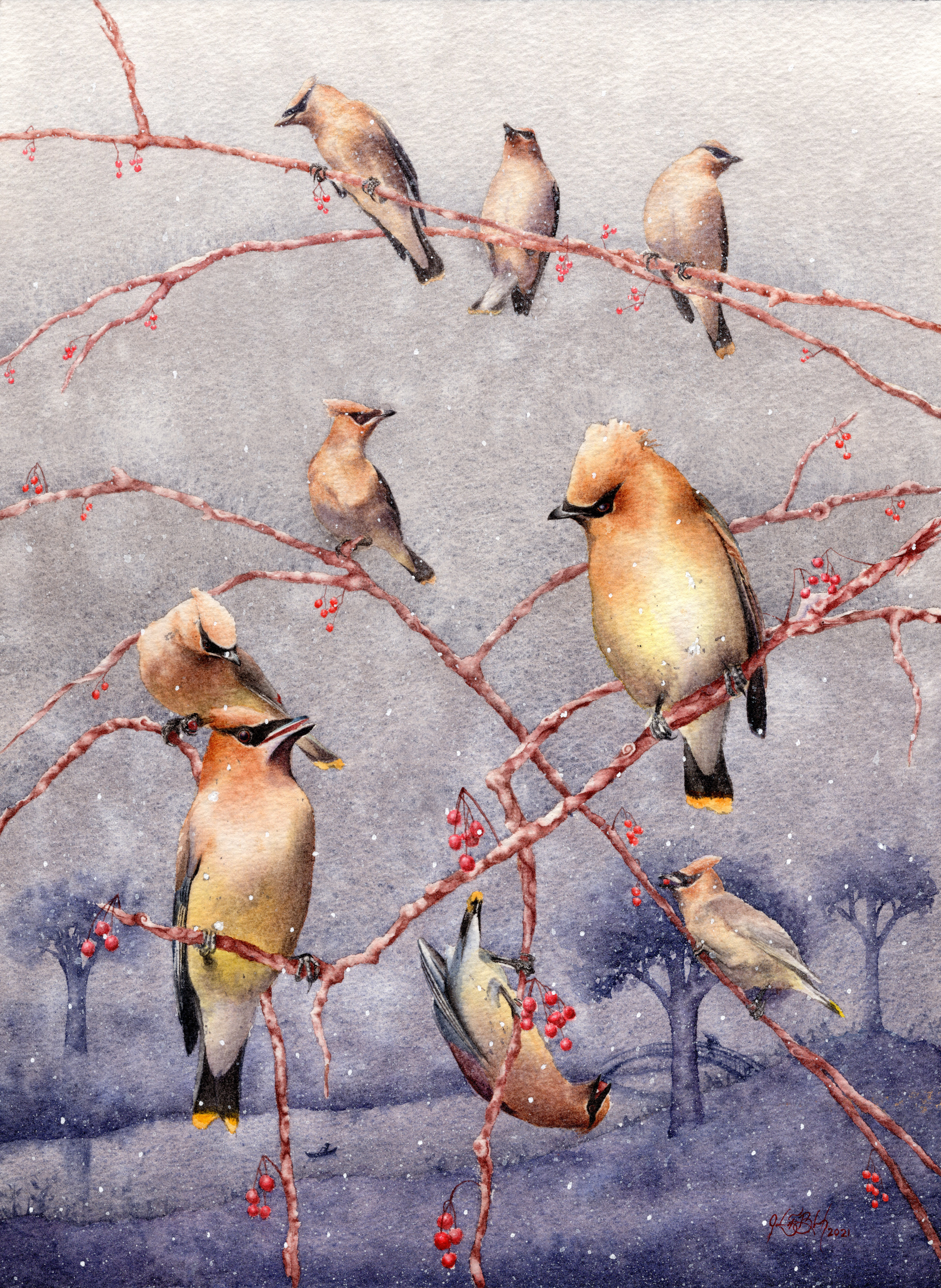 Cedar Waxwings - Watercolor, 2022