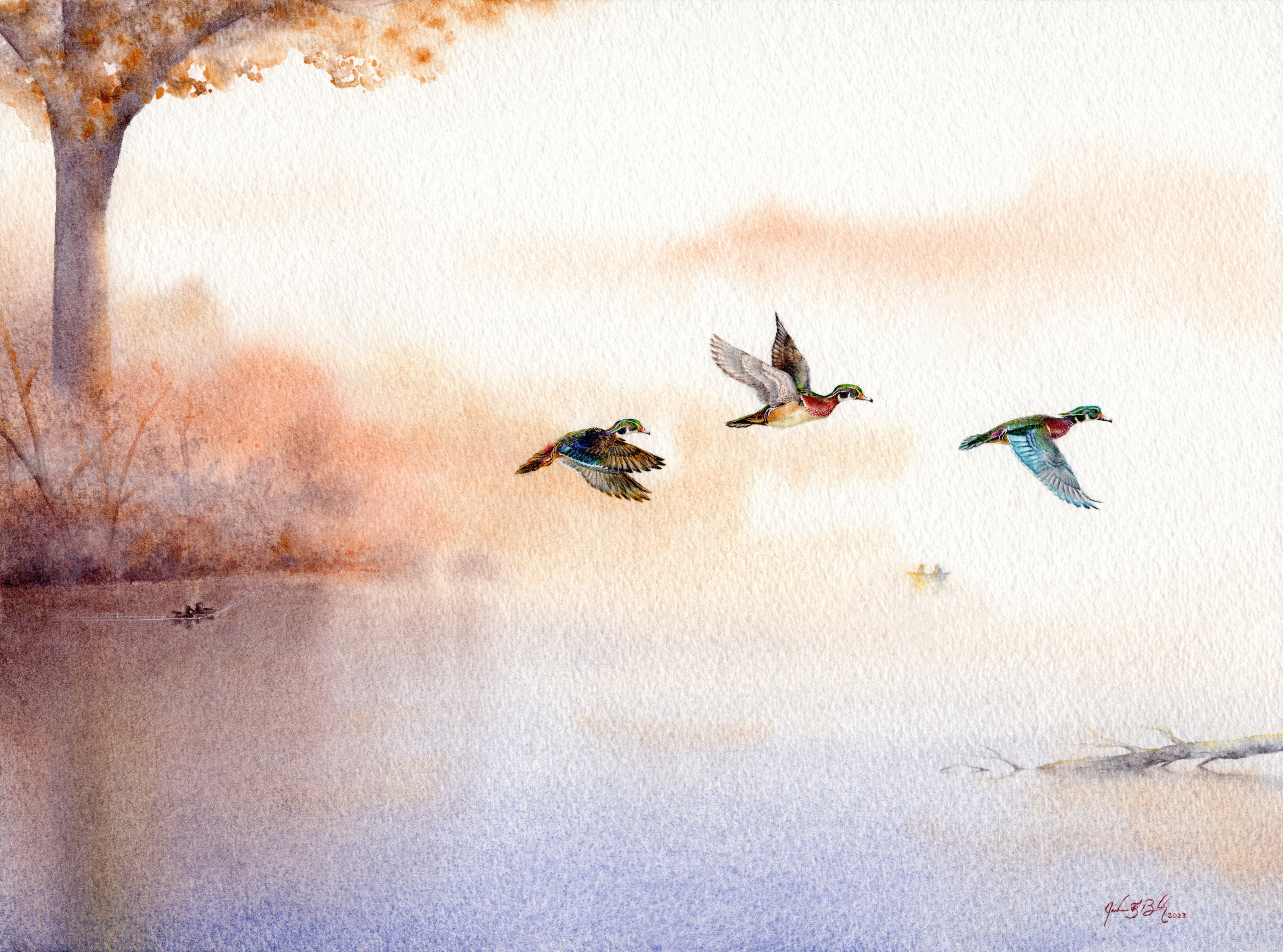 Wood Ducks - Watercolor, 2023
