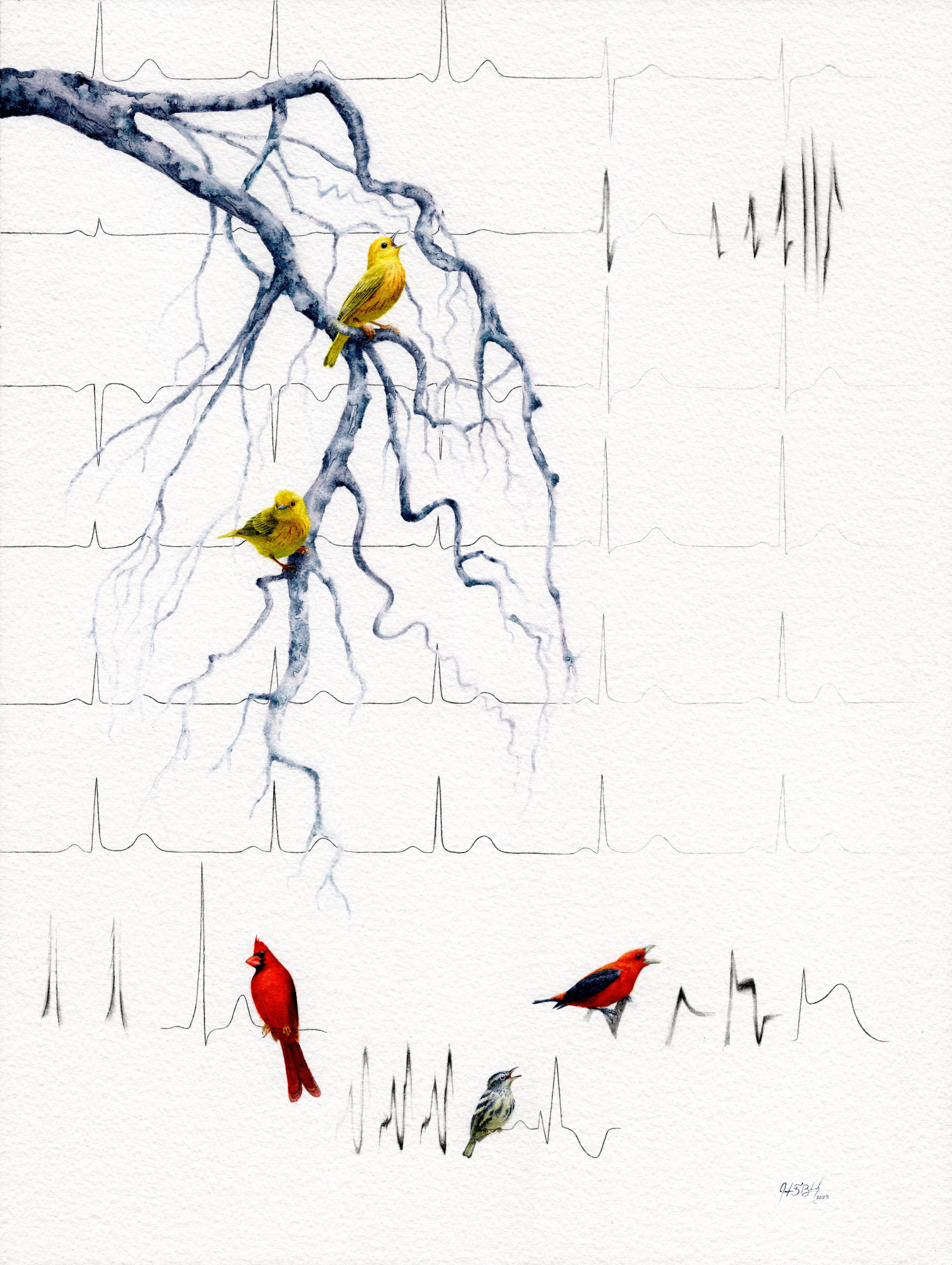 Watercolor, 2024