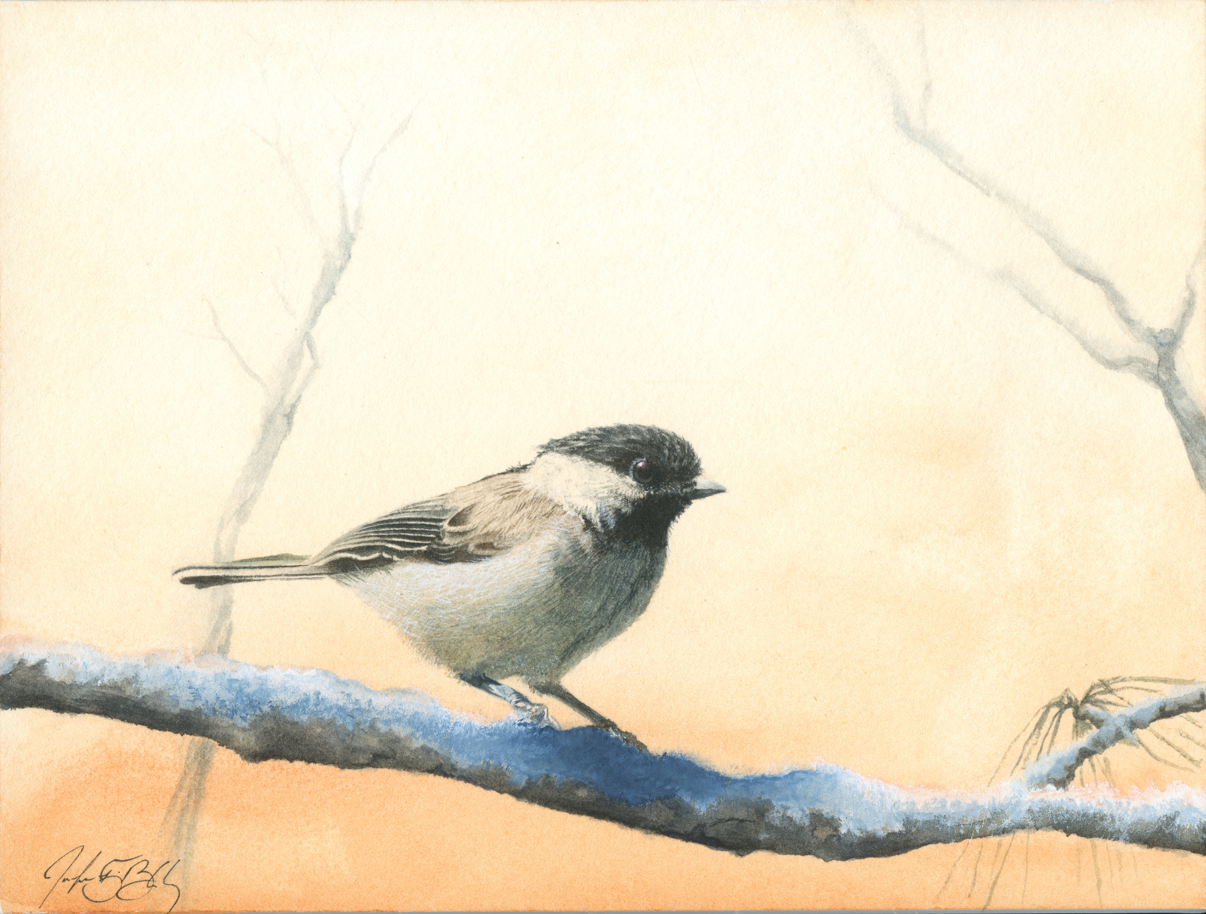 Black-capped Chickadee - Watercolor, 2017
