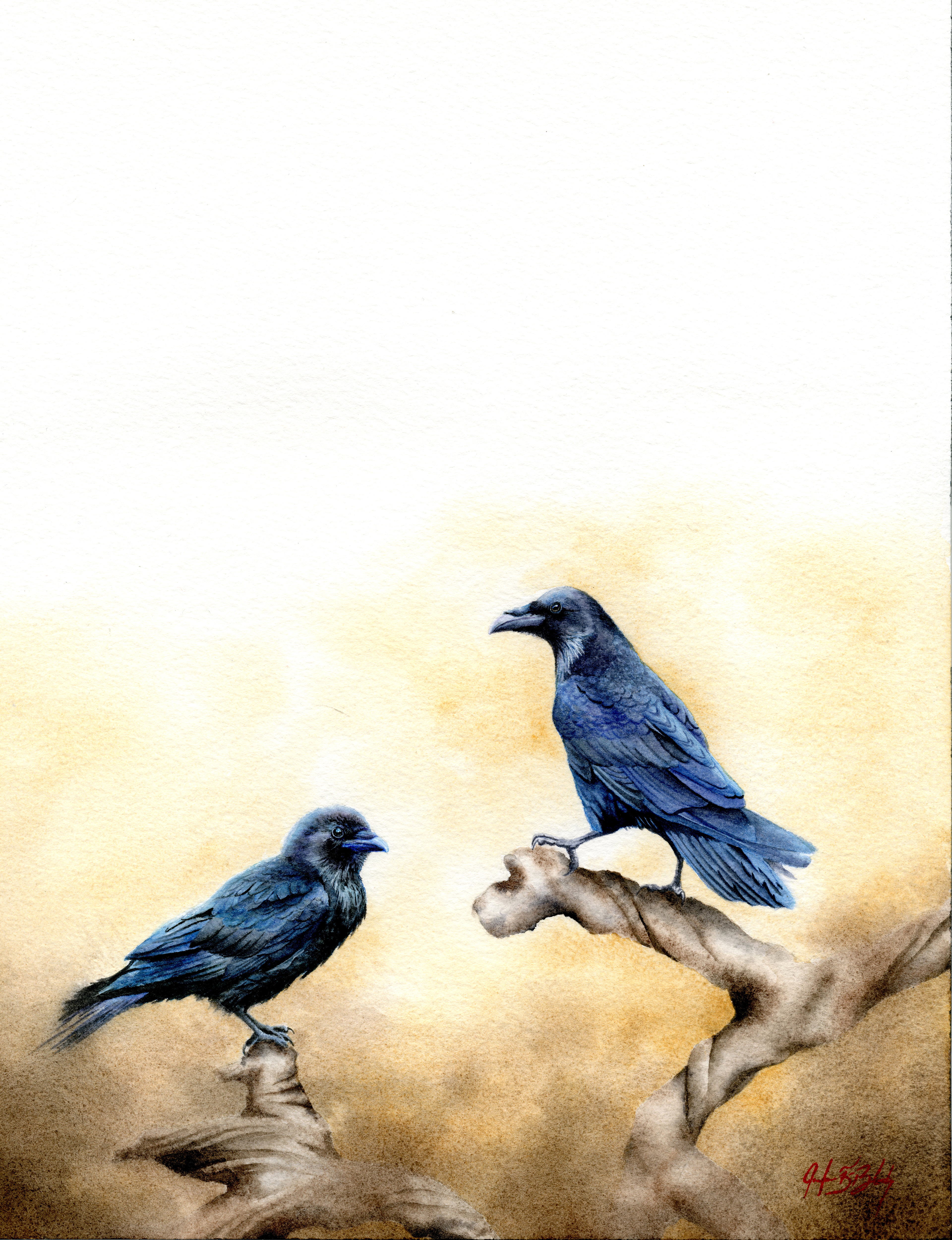 Common Ravens - Watercolor, 2020