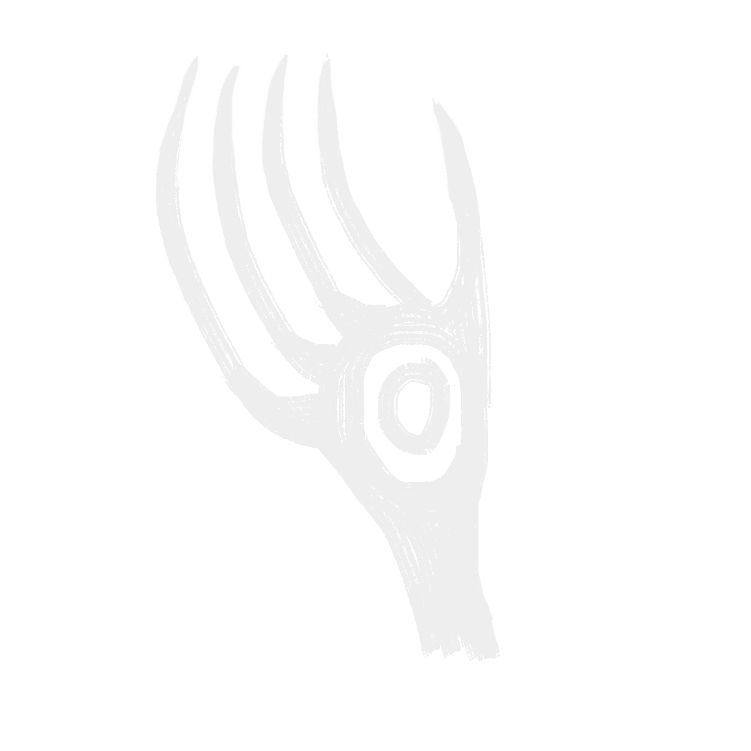 Tierra de Fuego
