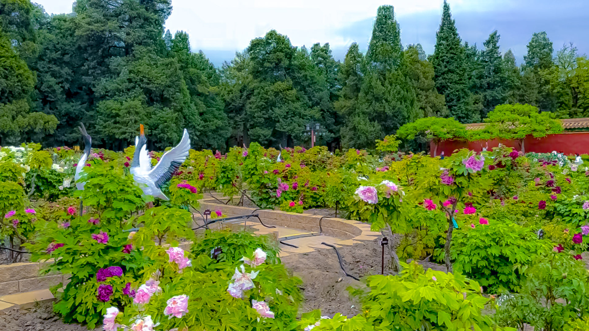 Gorgeous Jingshan Park