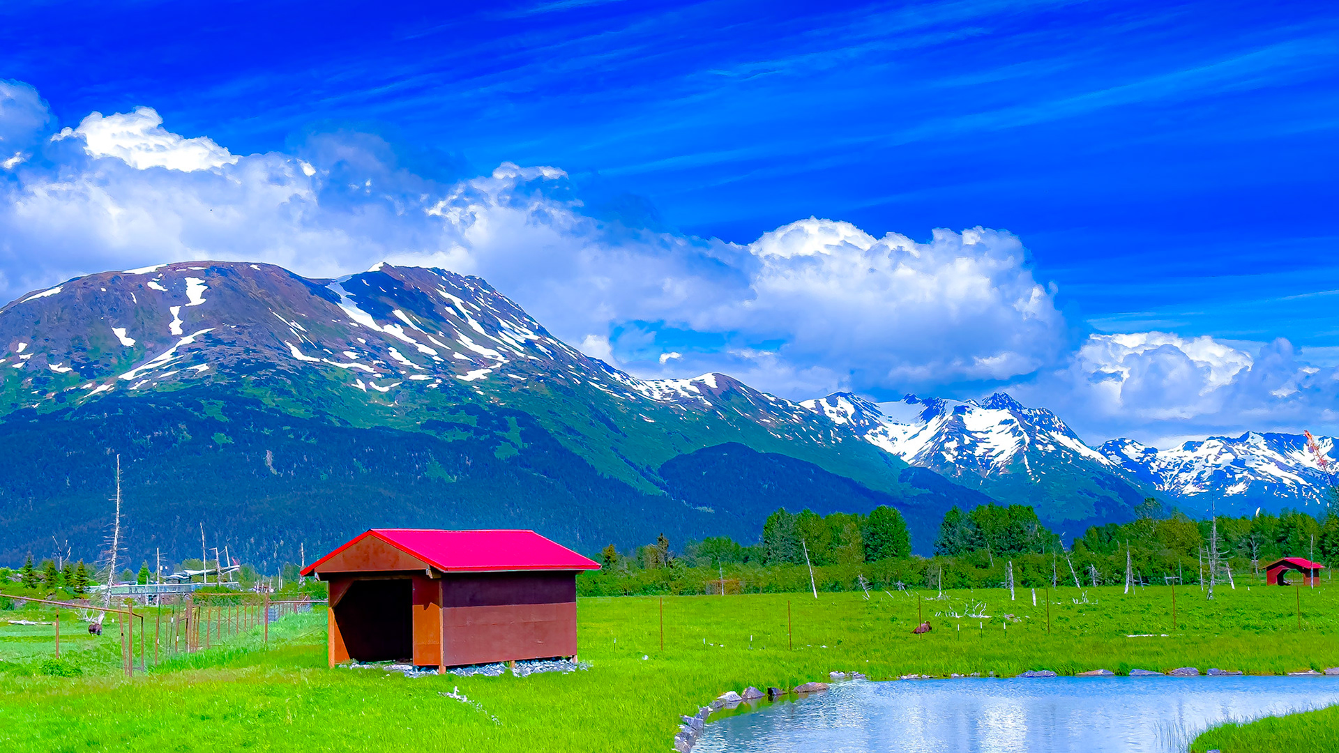 Alaska Wildlife Conservation Center