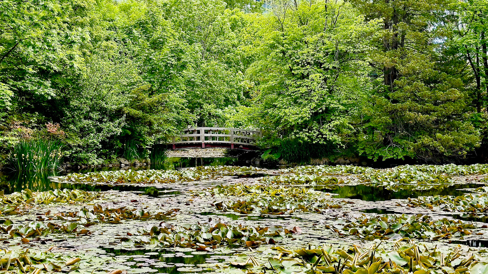 Botanic Garden Hokkaidō University
