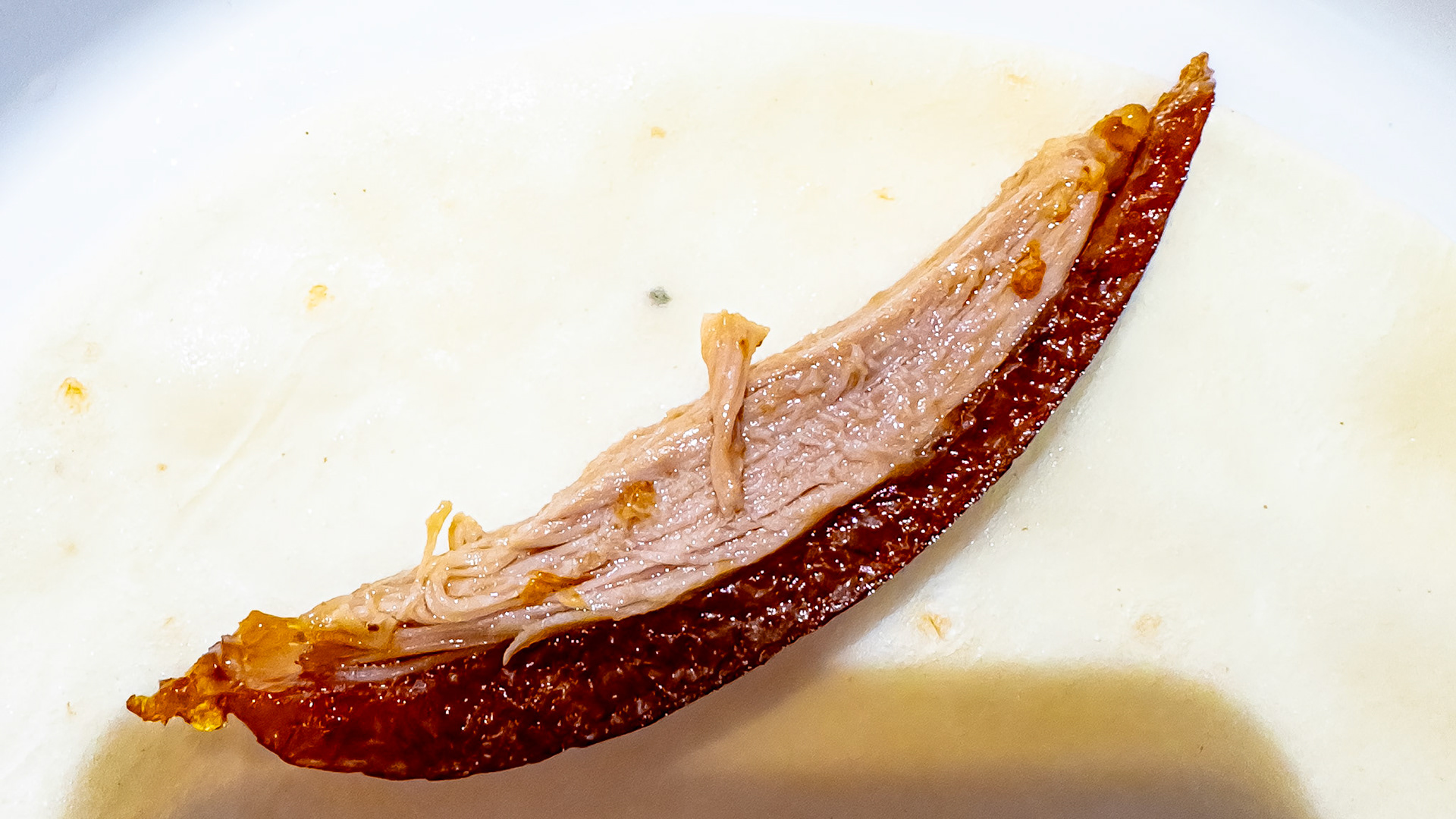 Close up on Peking Duck Slice and Outstanding Crust