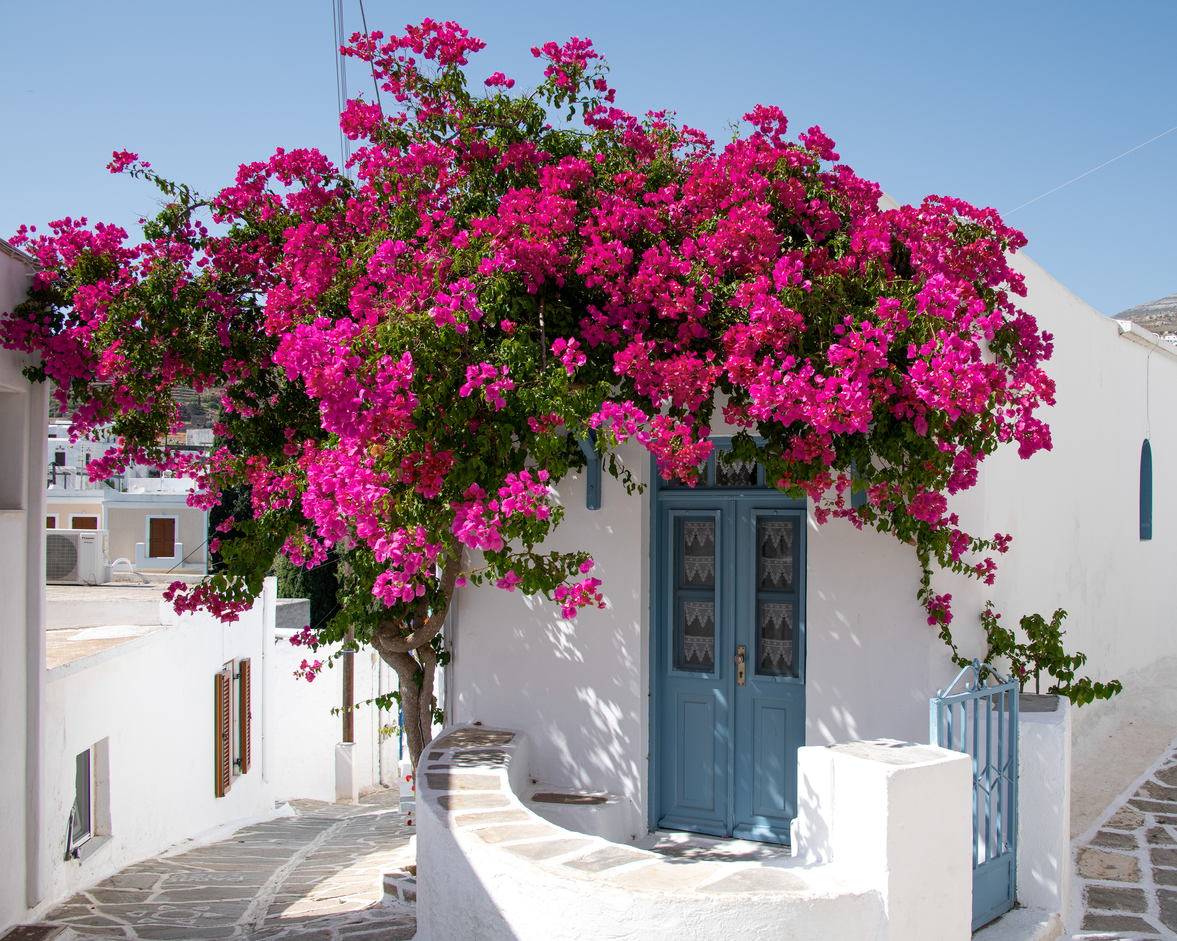 Paros