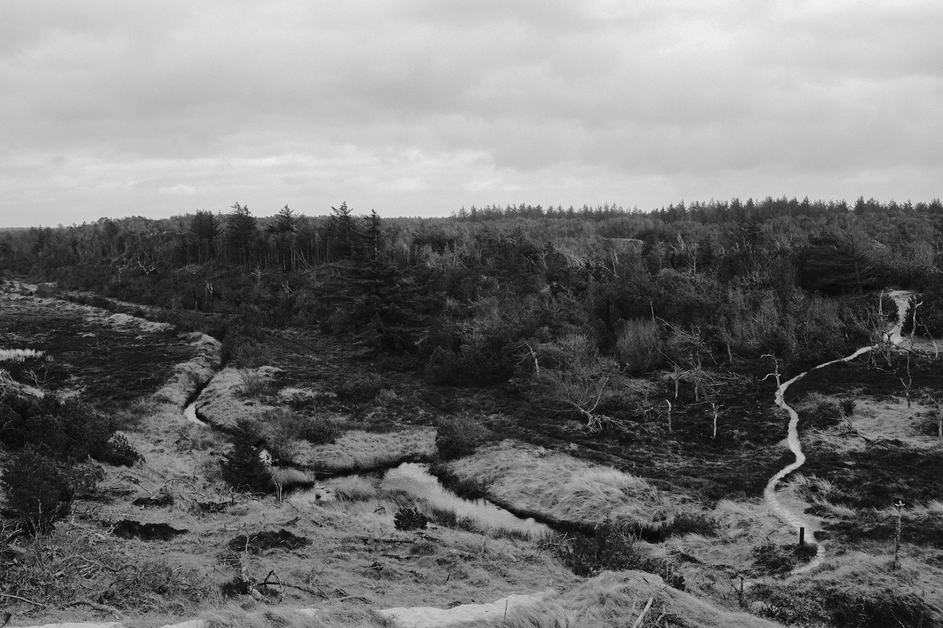 where the river path ends begins