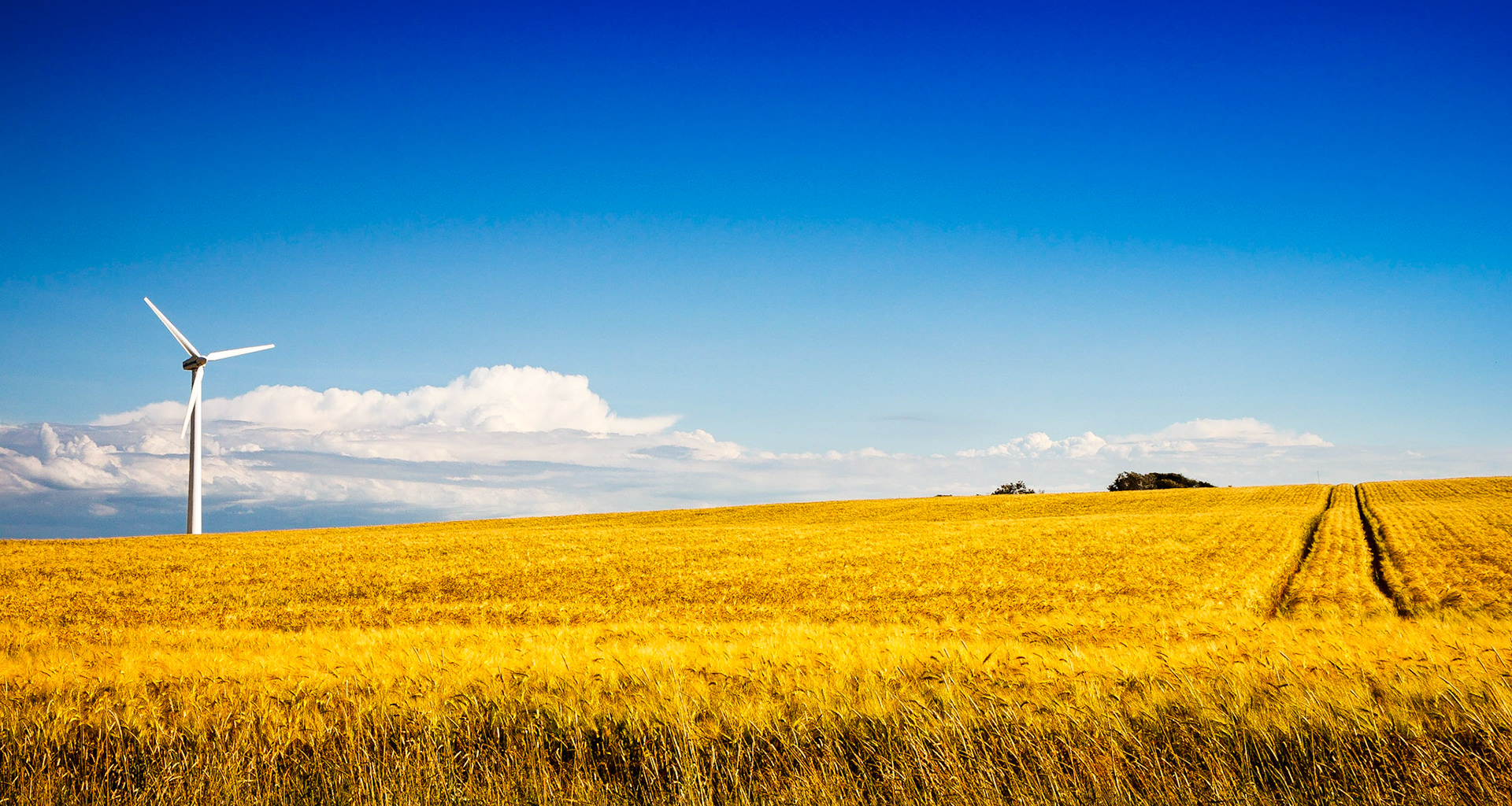 Sommerfield windmill