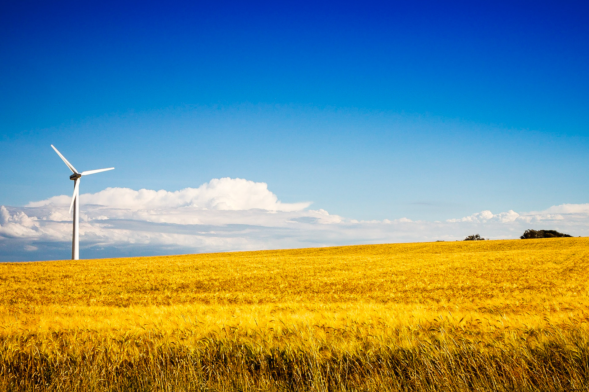 Sommerfield windmill