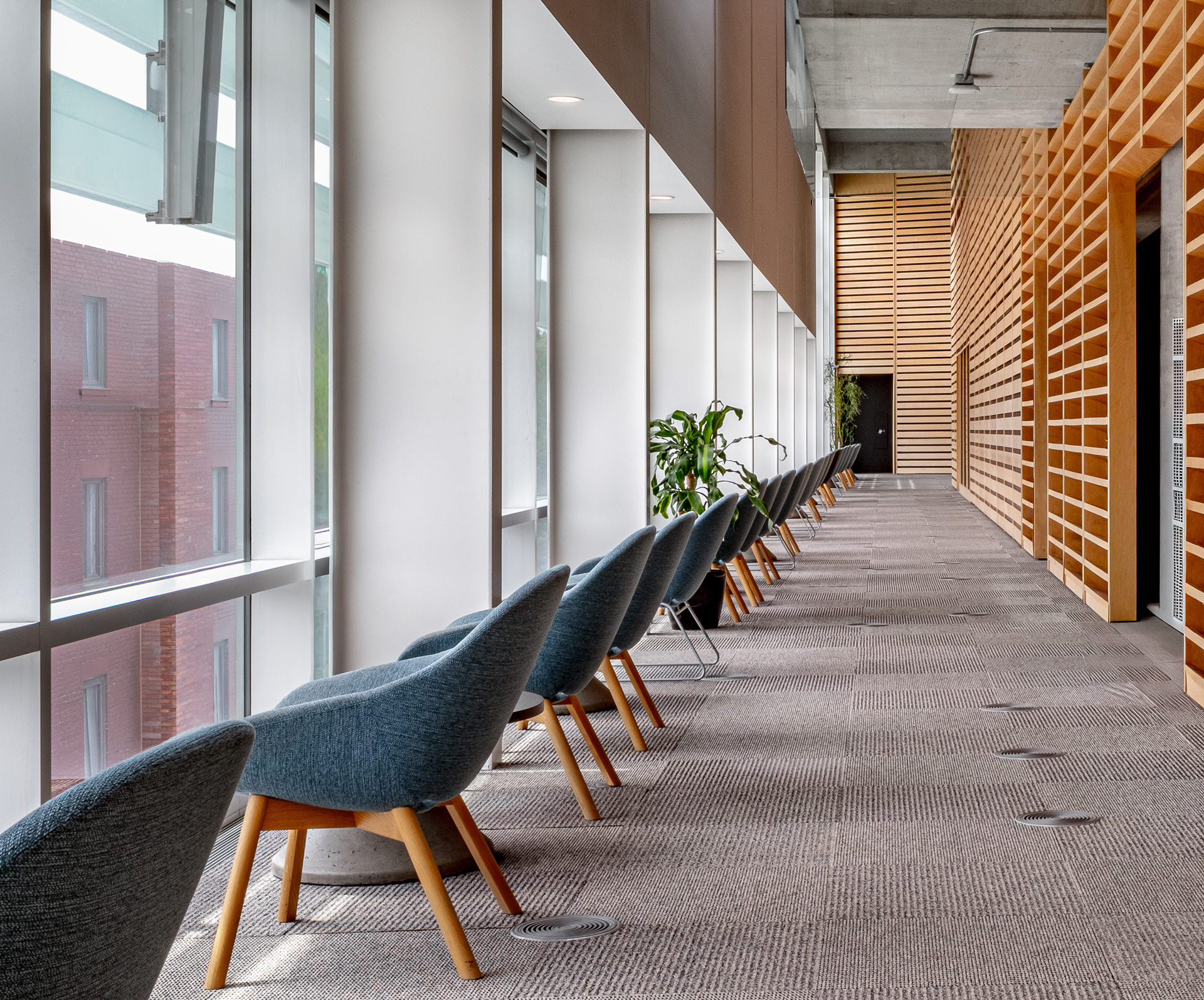 Zone de détente et de lecture à la Grande Bibliothèque. Une rangée de fauteuils bleus longe une immense façade vitrée, faisant face à une cloison monumentale et des étagères en bois clair.