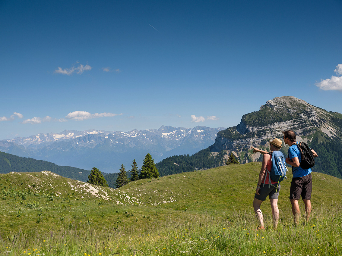 Vue panoramique sur la chaîne de Belledonne depuis le Charmant som