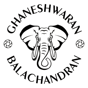 Ghaneshwaran Balachandran