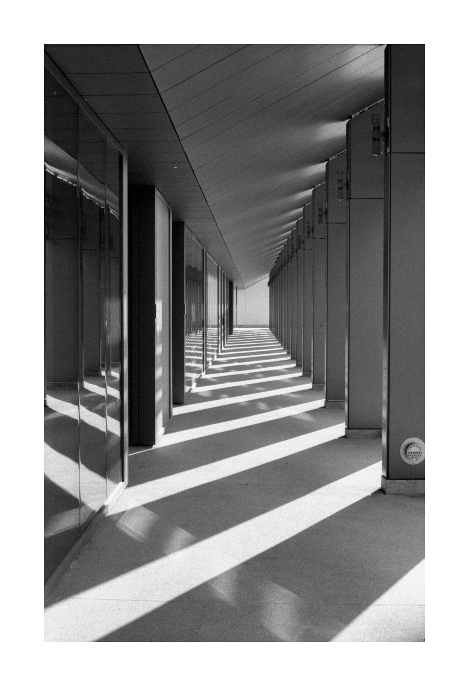 The Hallway