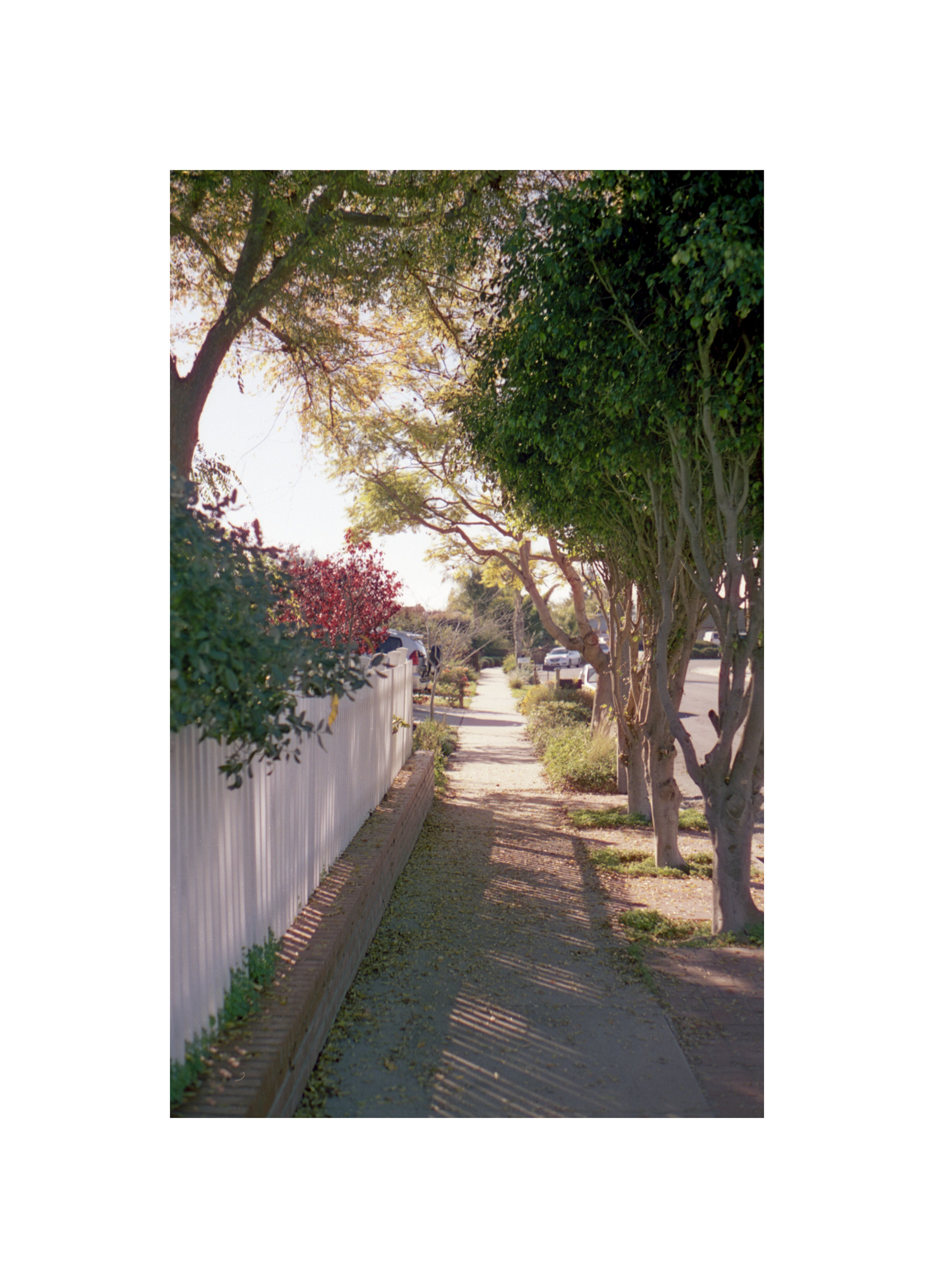 Santa Barbara