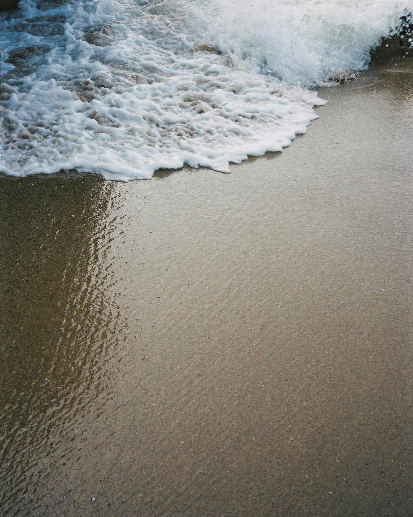 Kodak Portra, 120 mm film, 2022