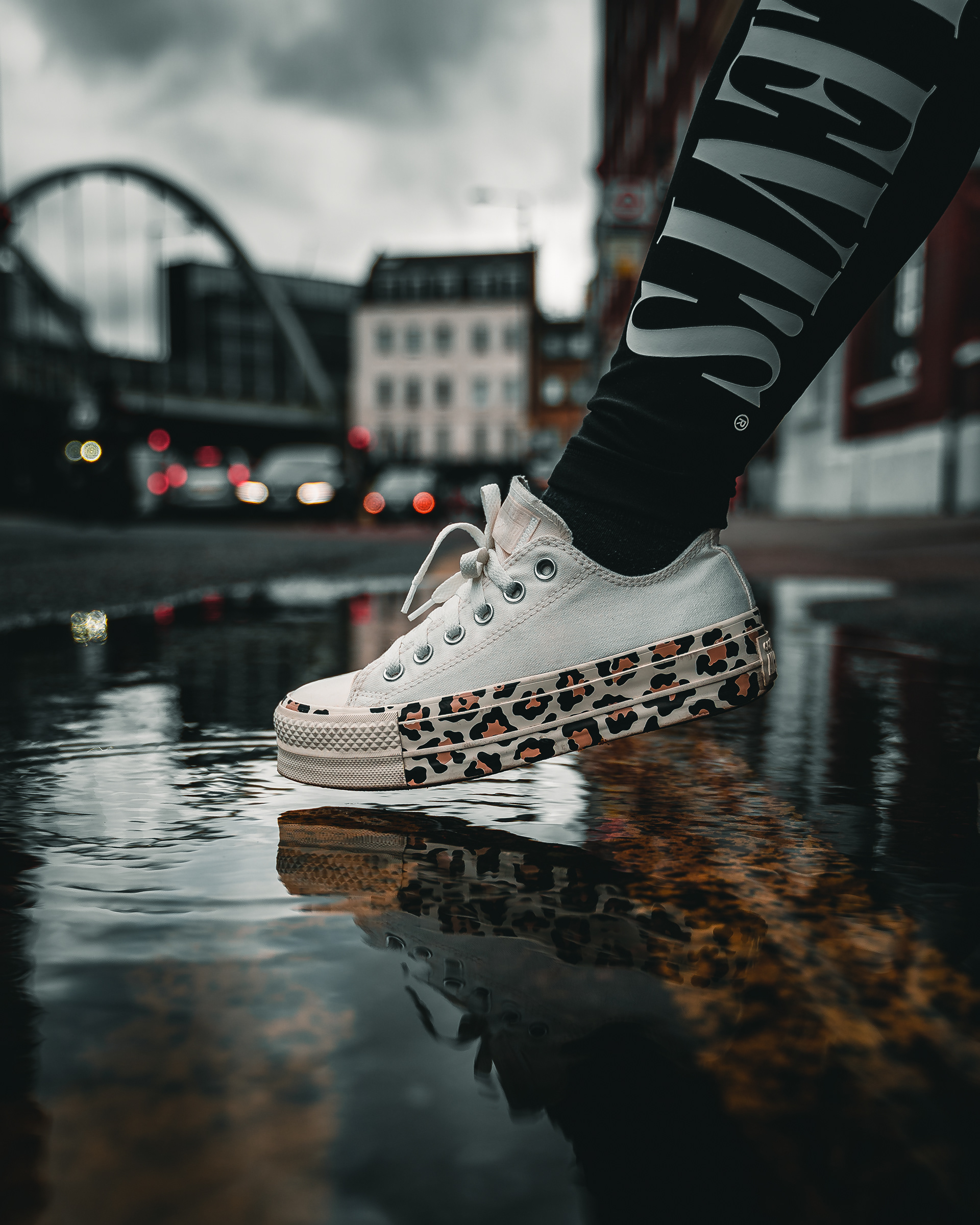 Just a Leopard taking a sip