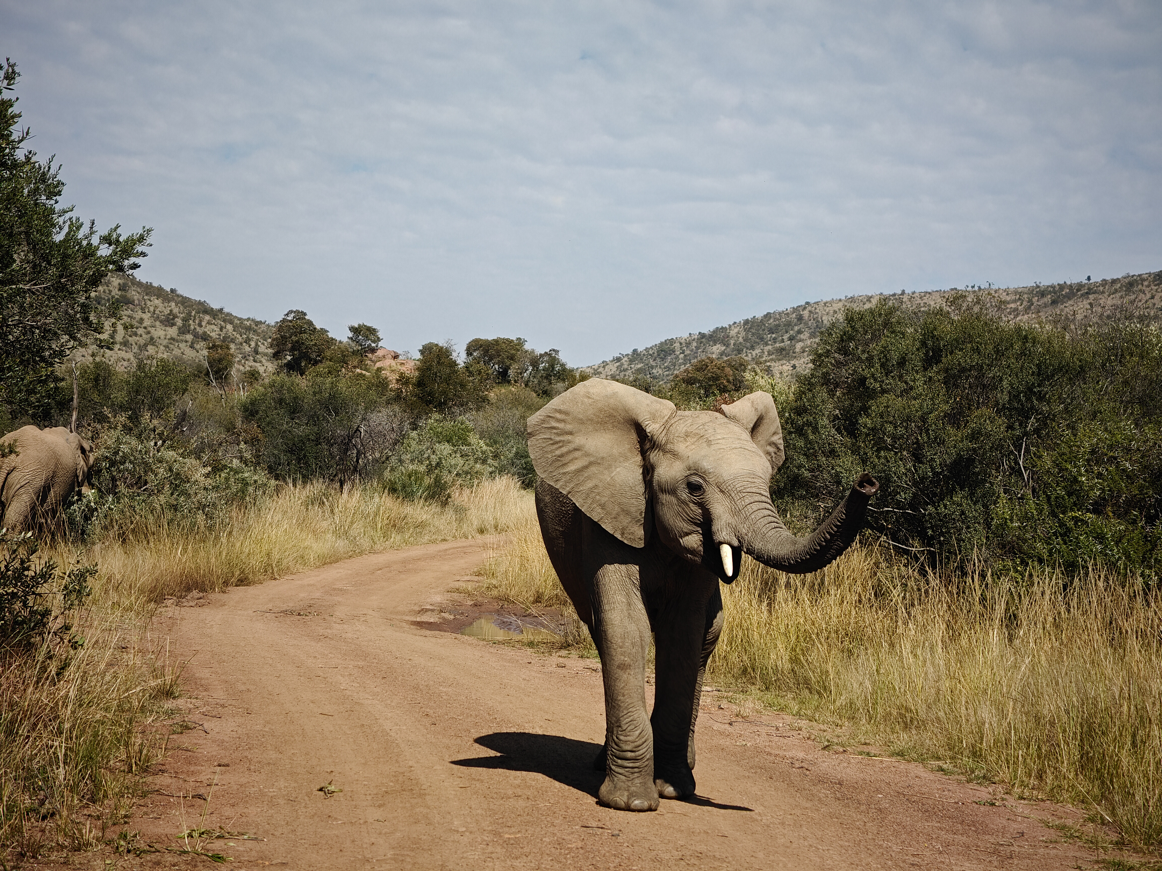 Pilanesberg, South Africa