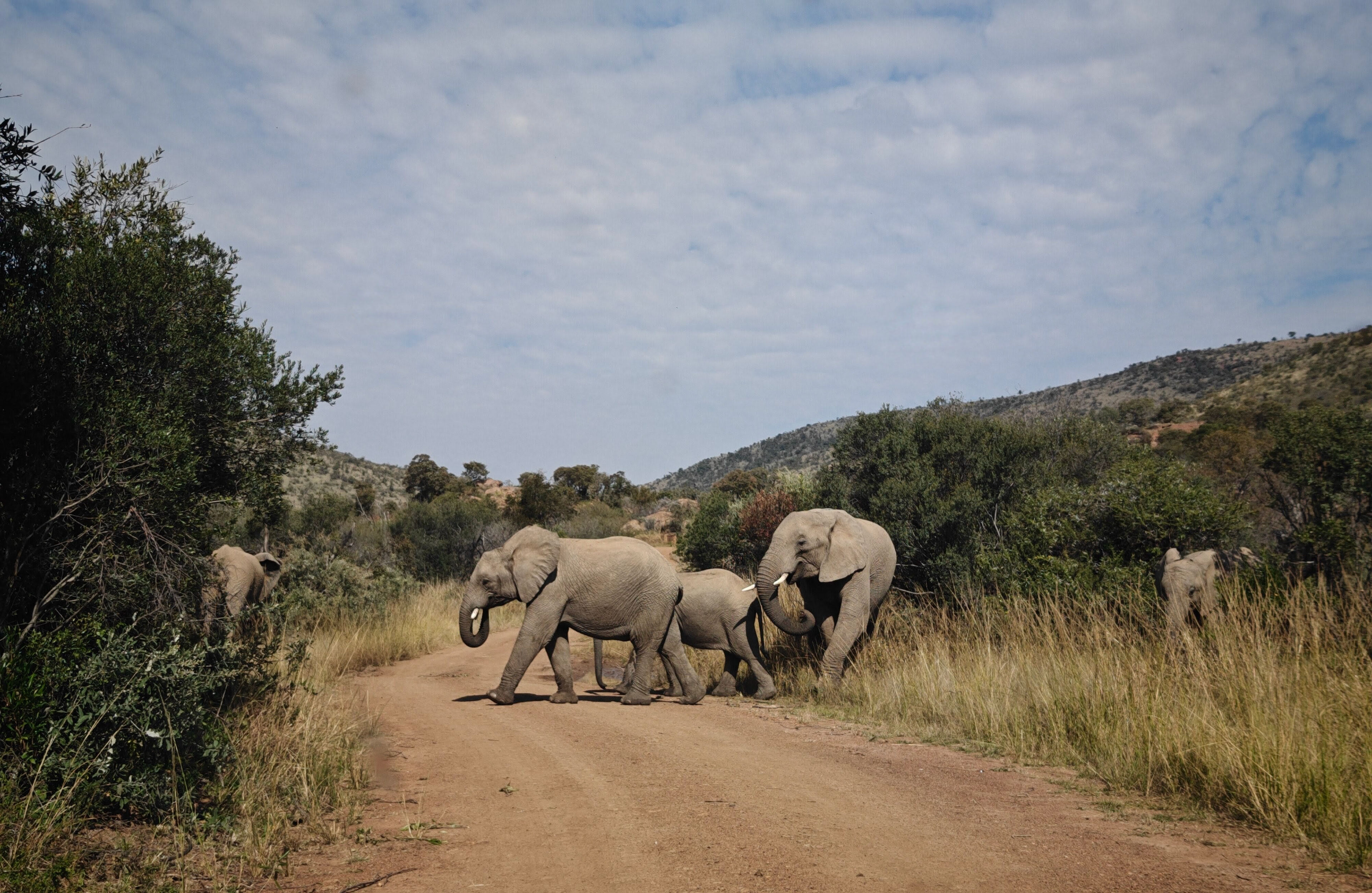 South Africa