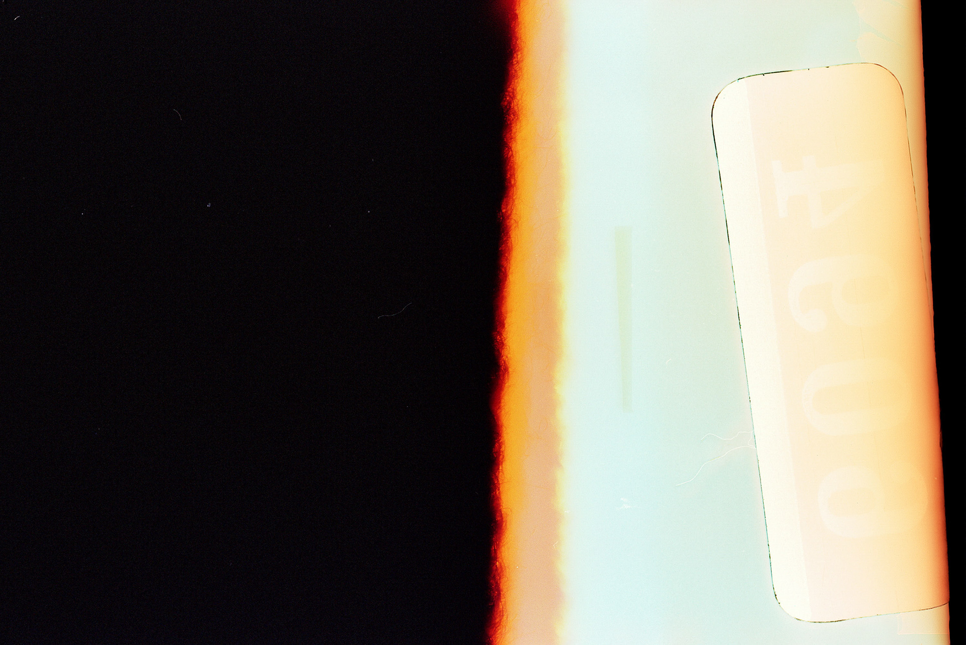 Beautiful Mistake, Analog Color 35mm - October 2021