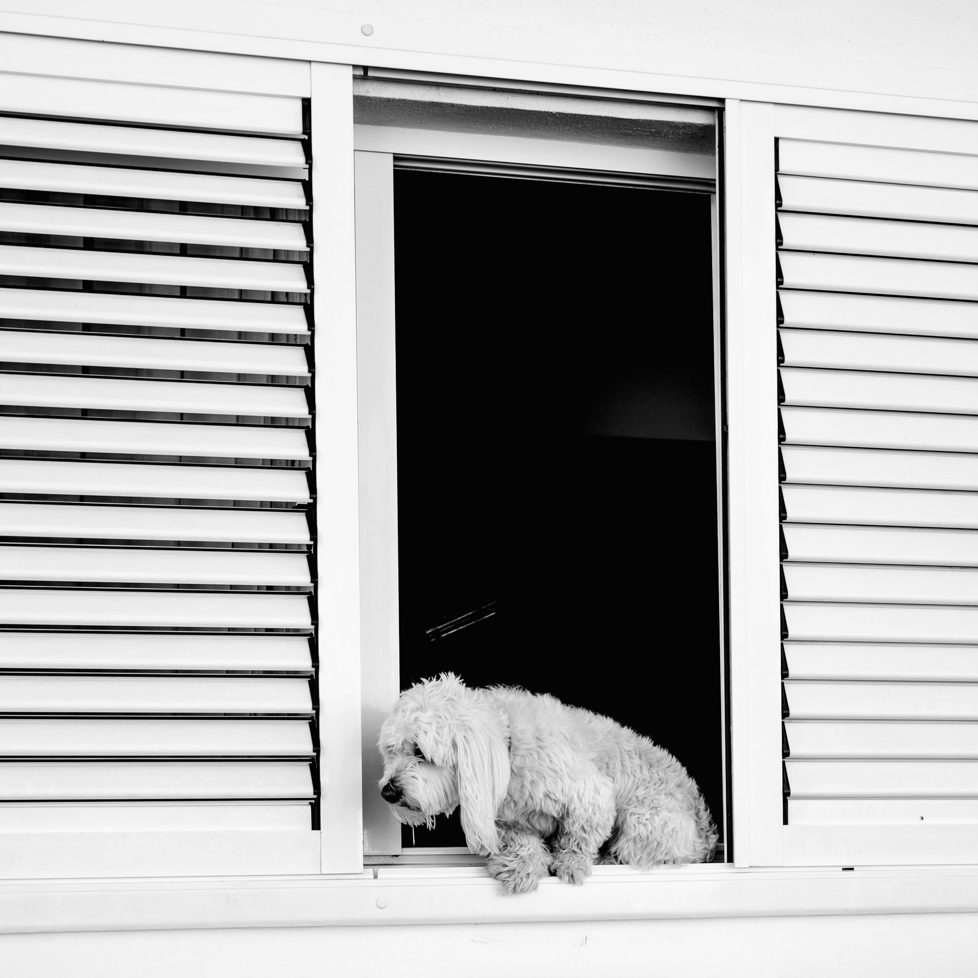 Ich will nach Draußen!