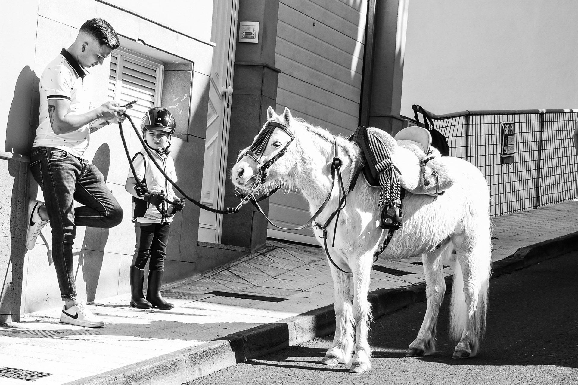 Und wann kann Ich reiten???