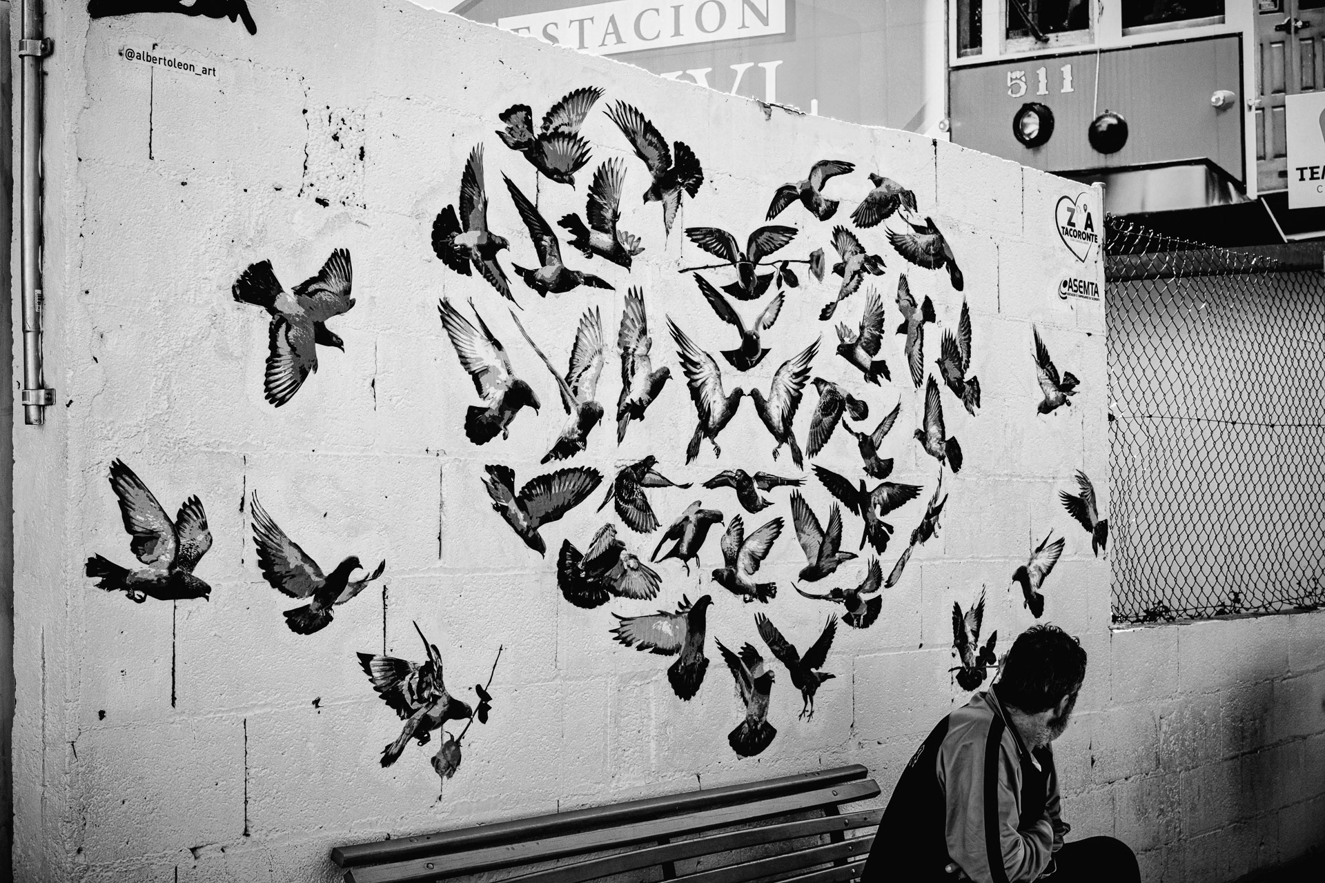 El hombre y las palomas