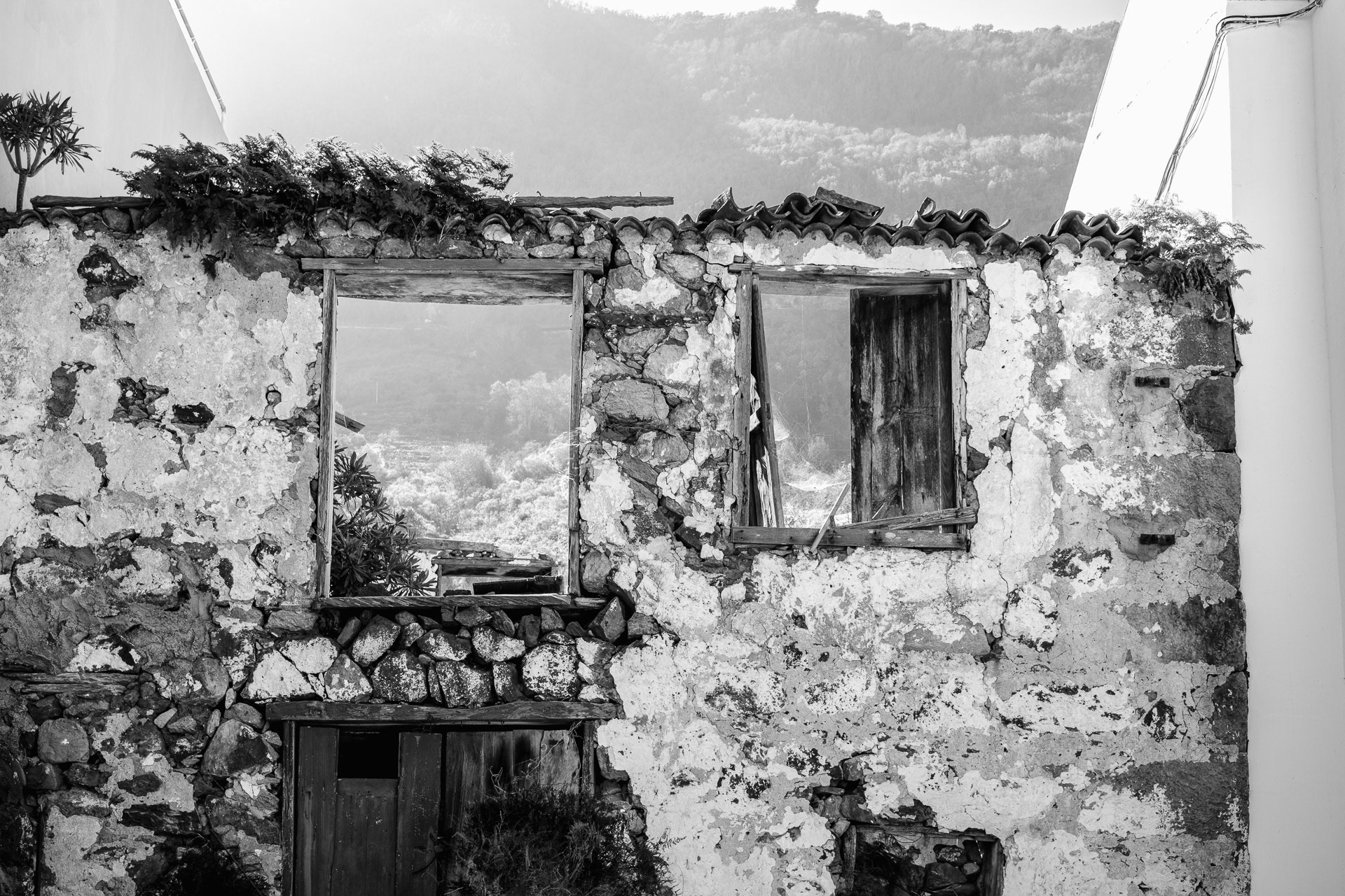 Fenster mit Ausblick