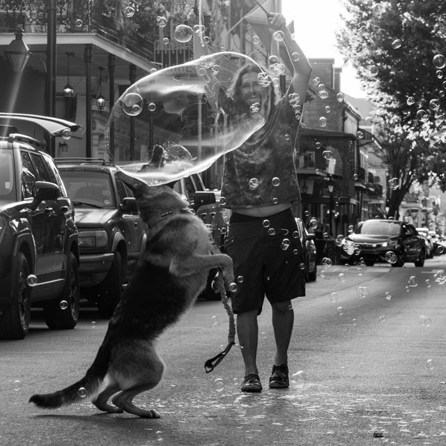 Catching Whimsy