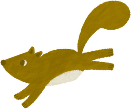 A cute squirrel running