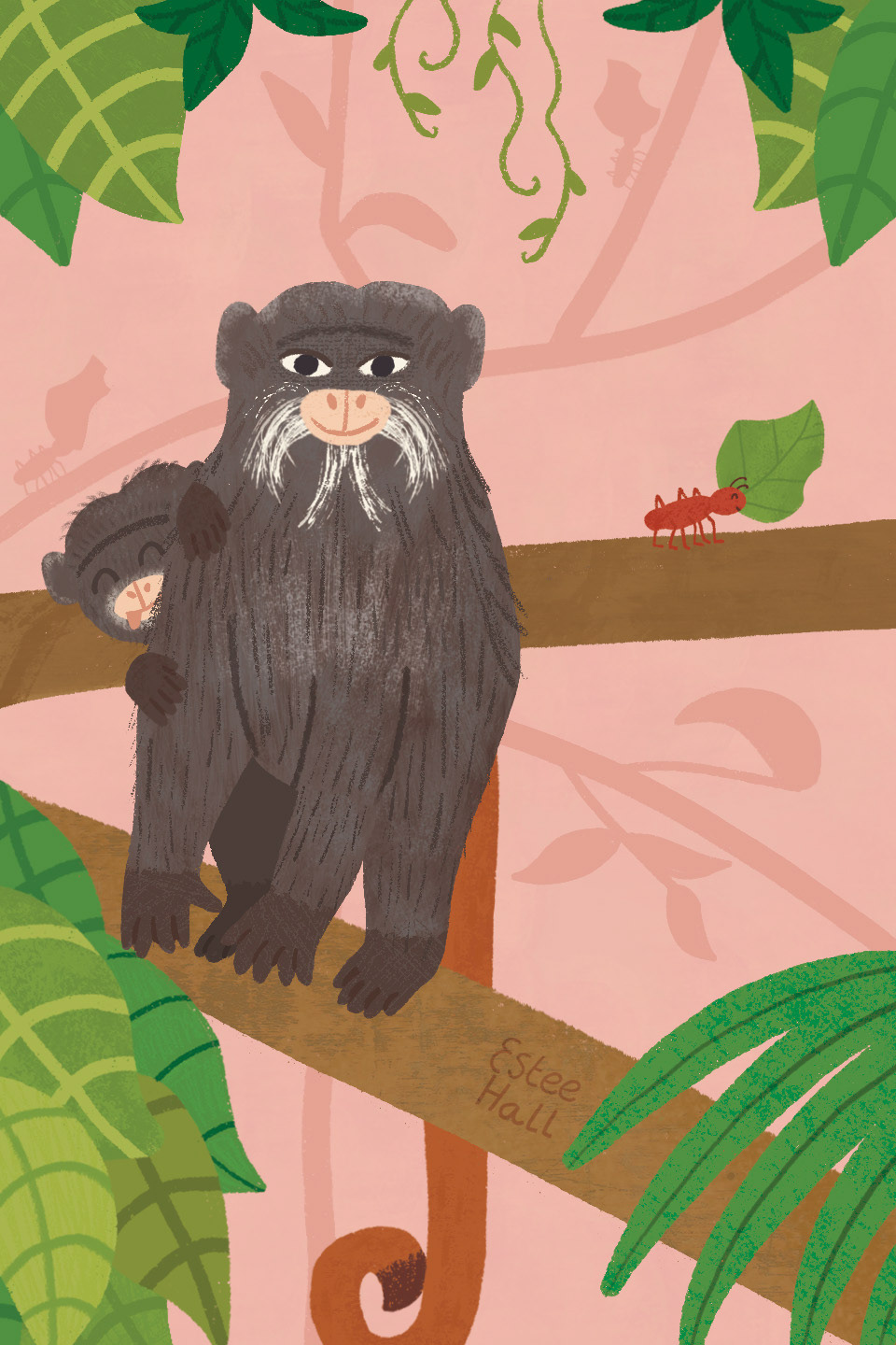 Baby emperor monkey on parent monkey's back, sticking its tongue out . Parent monkey standing on a leafy tree branch. Cutter ant in the background, carrying a leaf.