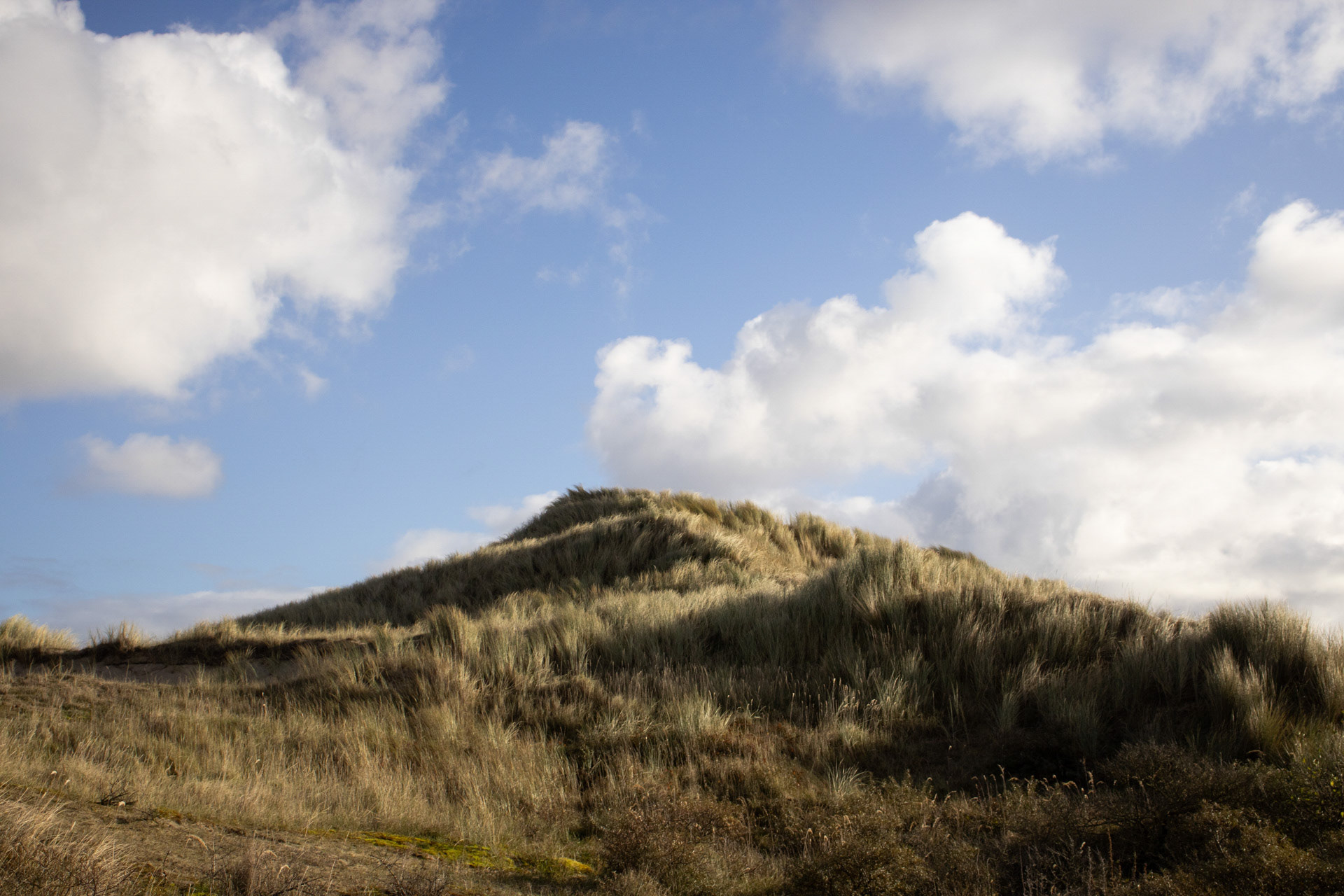 Meijendel - Den Haag