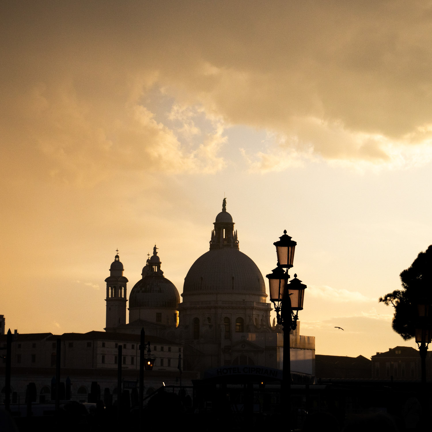 Santa Maria Della Salute - Venice