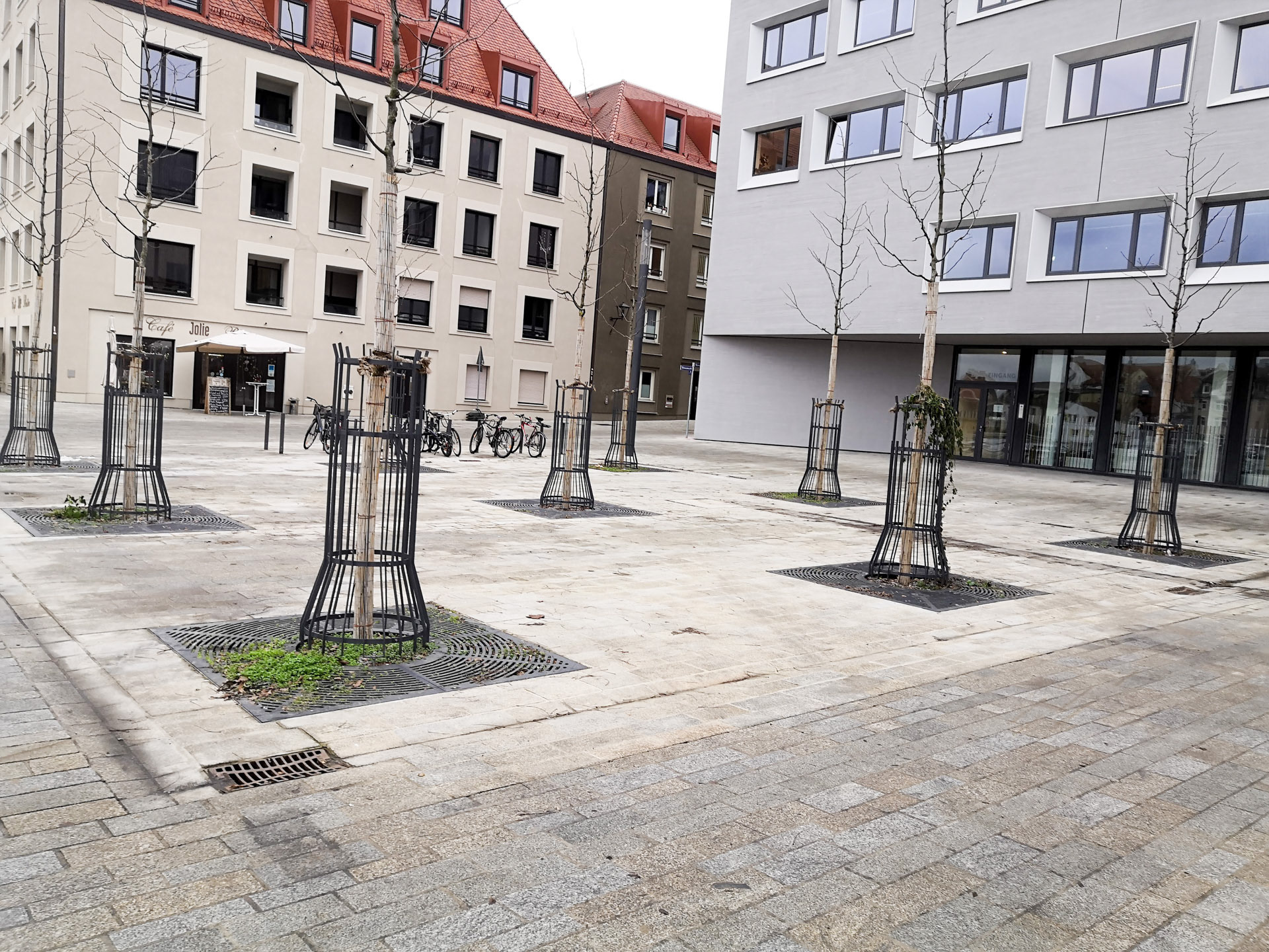 Identifying tree cages